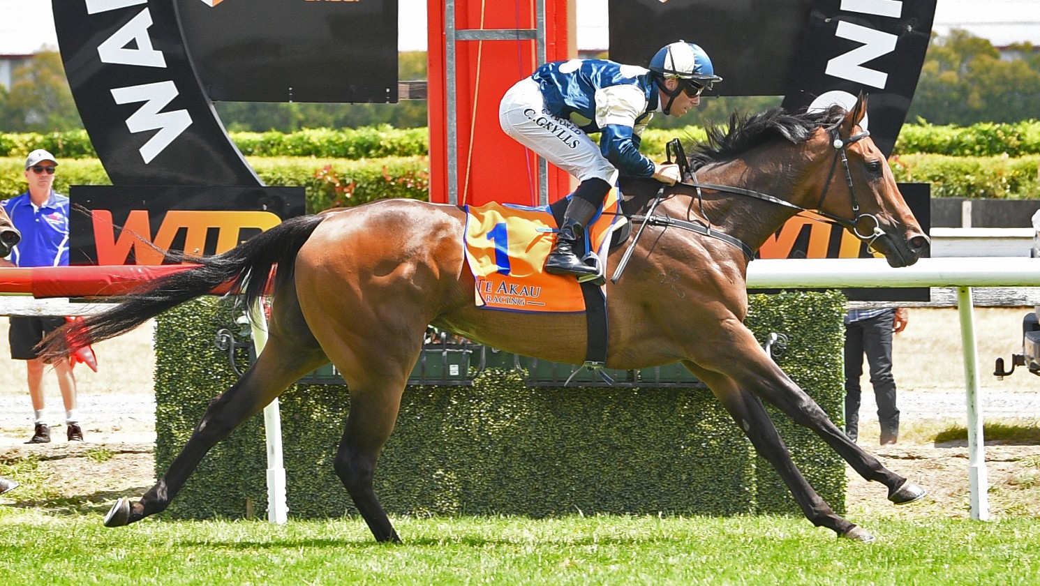 Derryn’s coming-of-age headlines big season for Grangewilliam