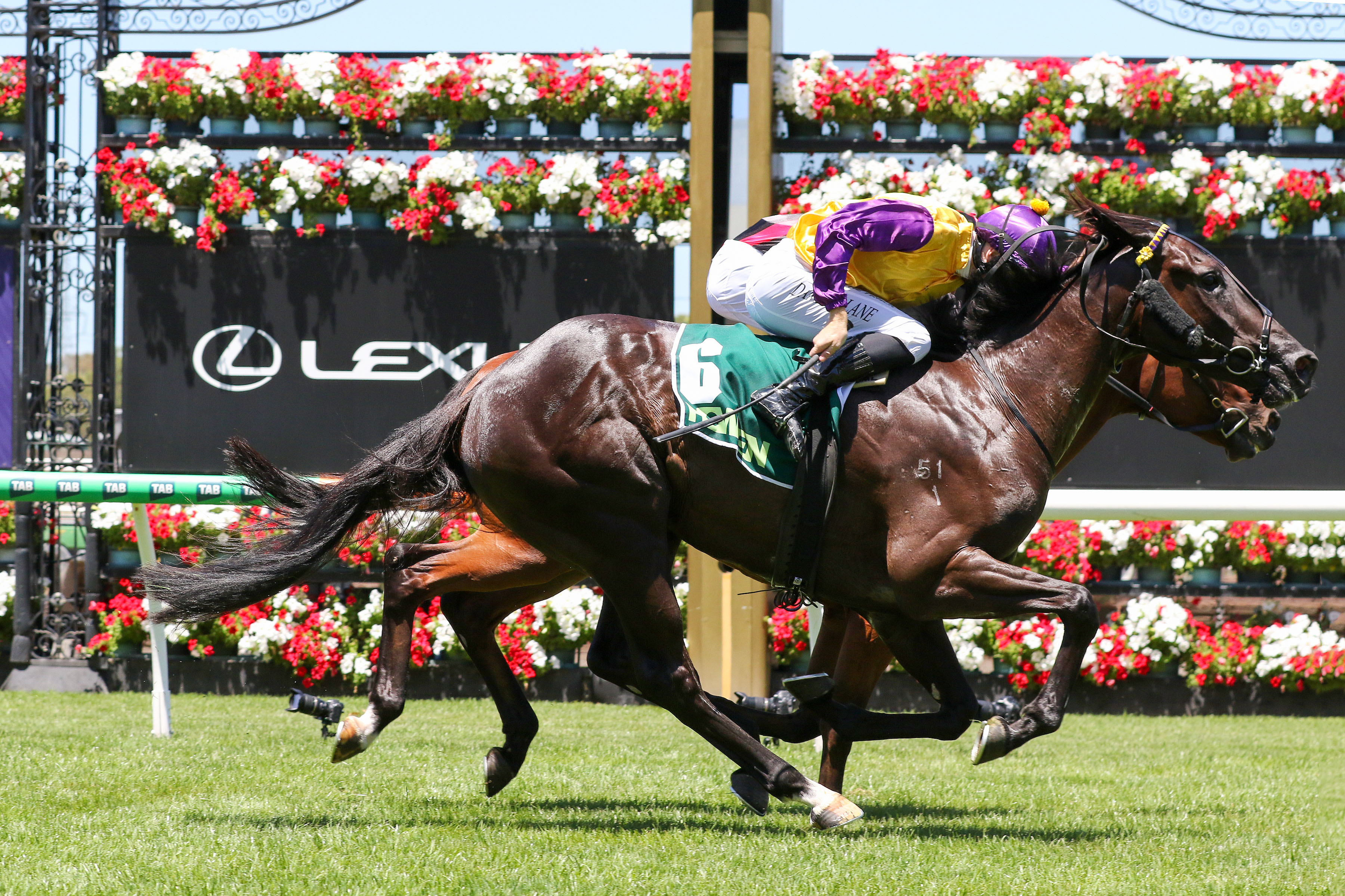 Raw Garnacho triumphs at Flemington