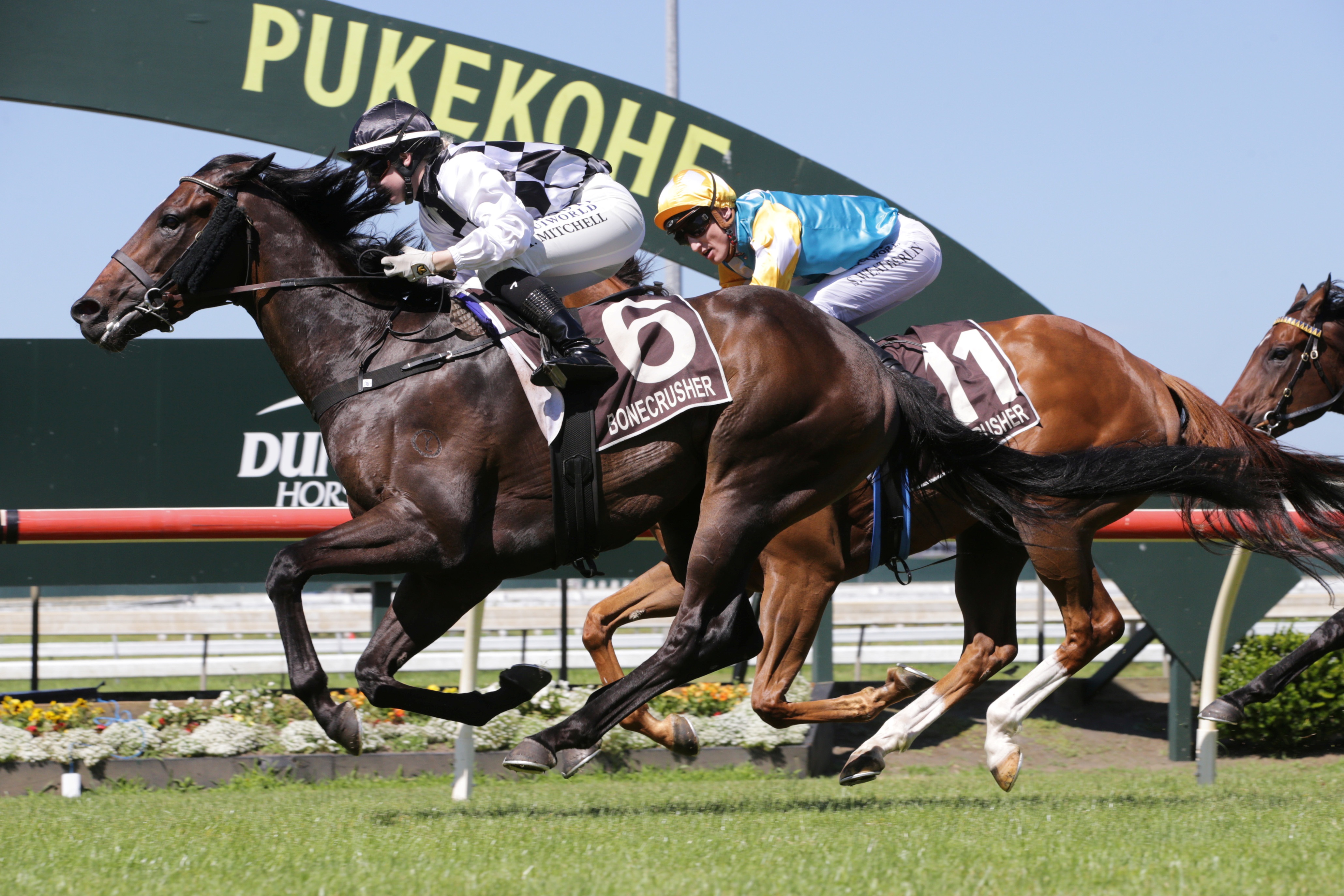 That’s Gold shoots for $350,000 prize in Karapiro Classic