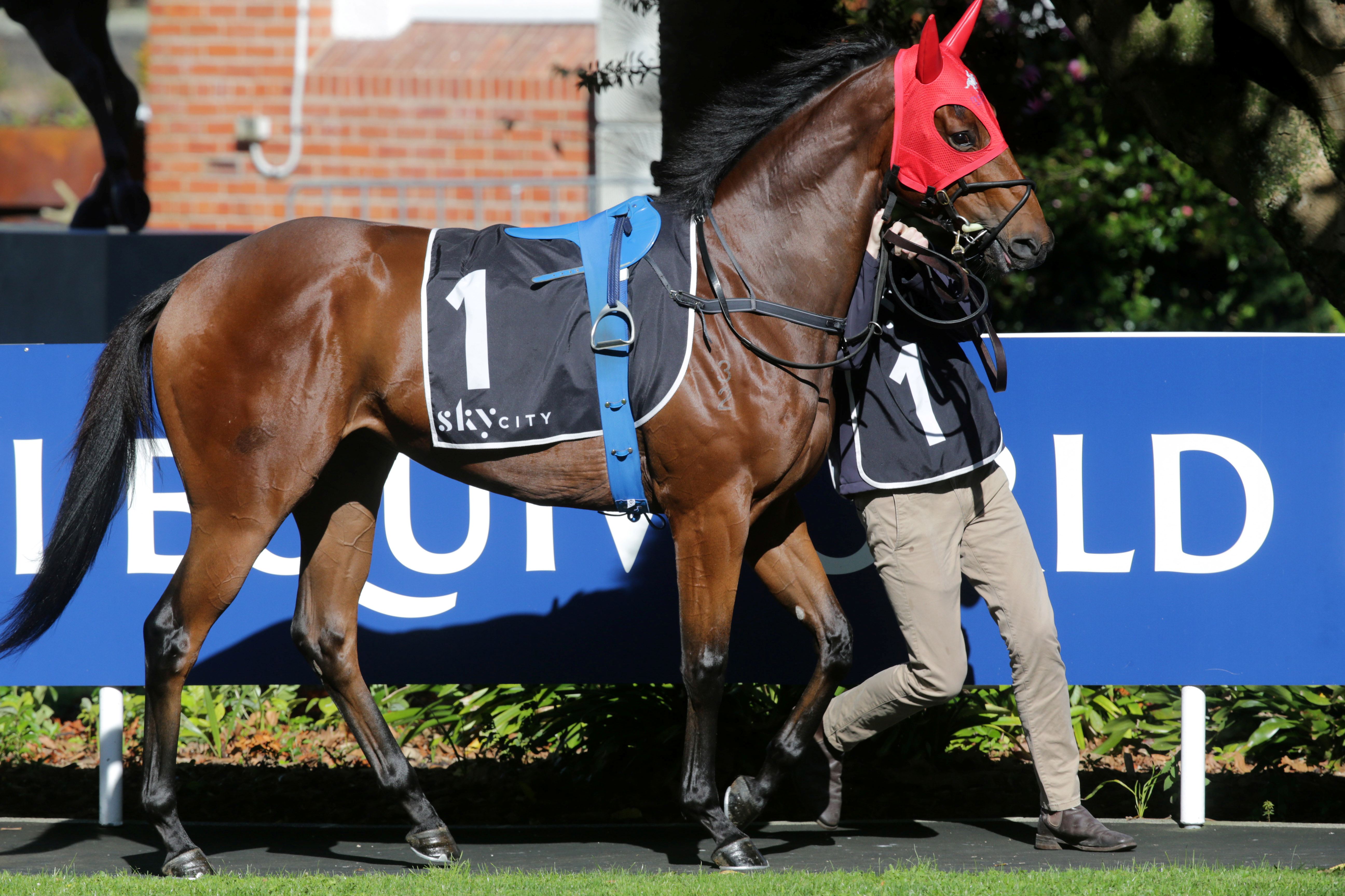 Eagle Memorial a springboard to bigger targets for Towering Vision