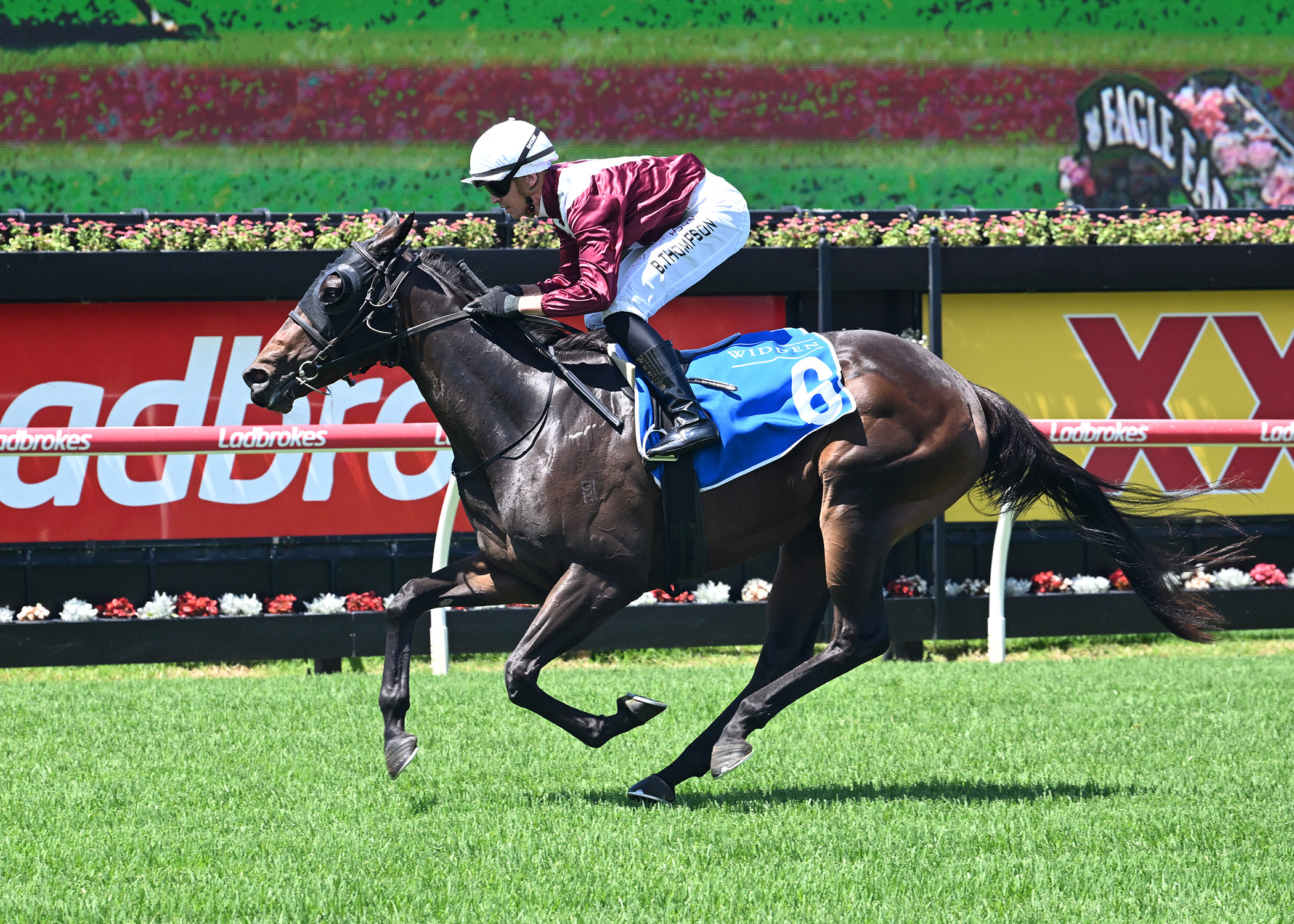 Karaka Millions beckons Birchley’s Dream Roca