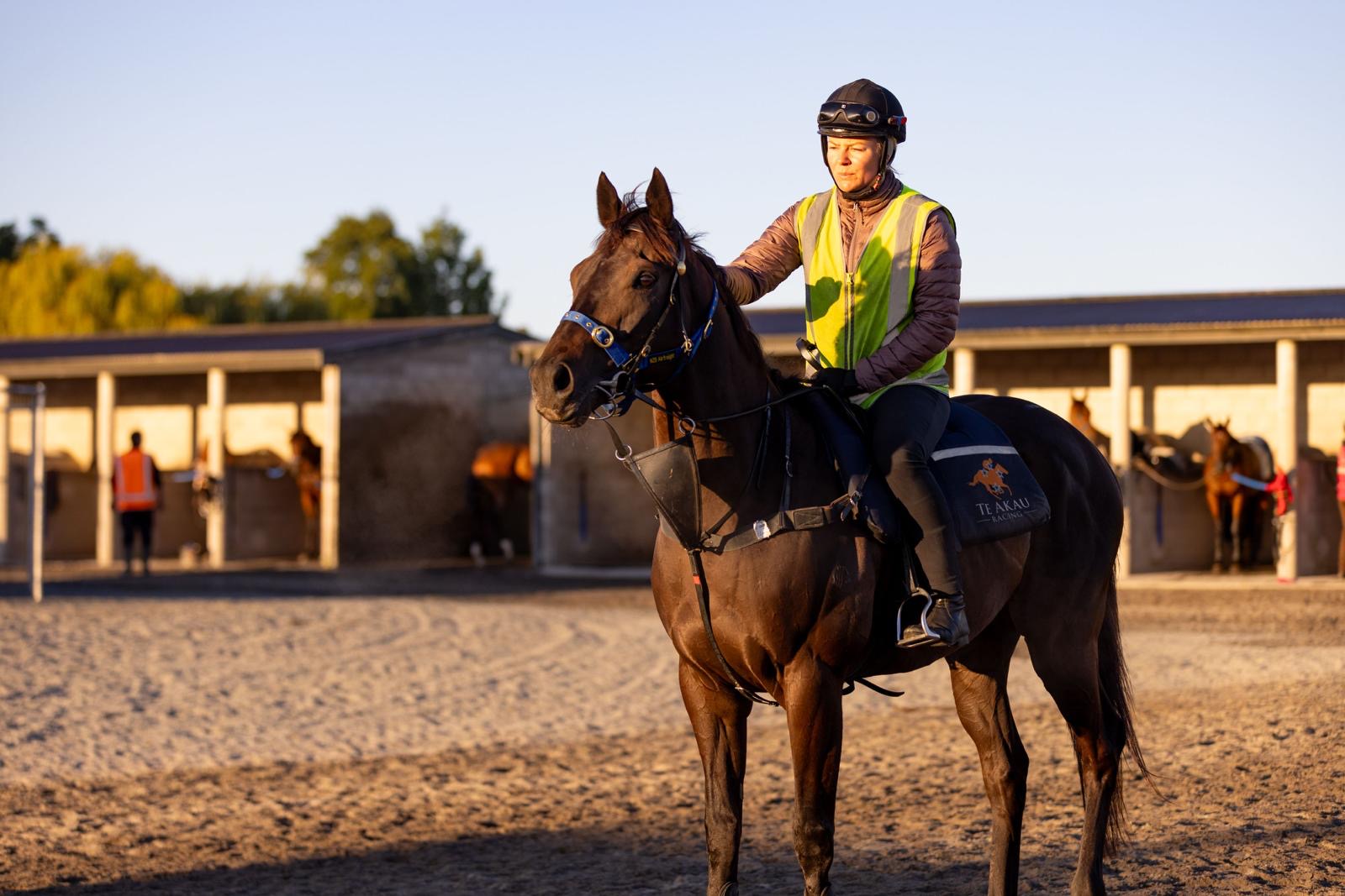 Aussie stayer primed for Cup bid