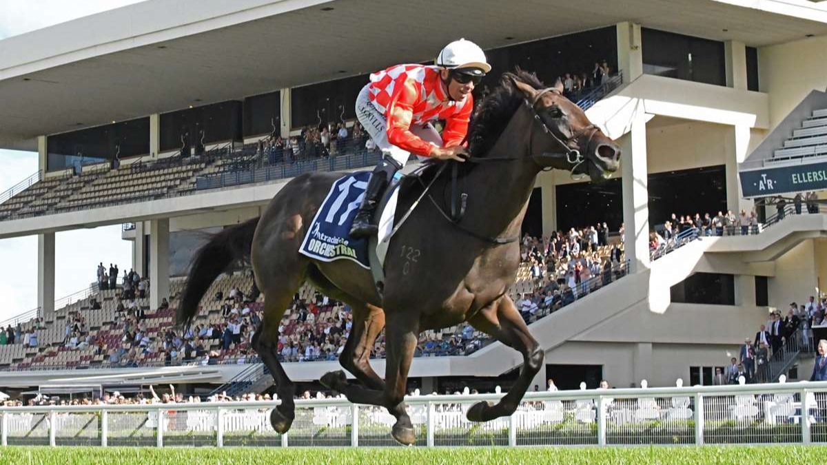 Shock retirement after Orchestral loses her rhythm