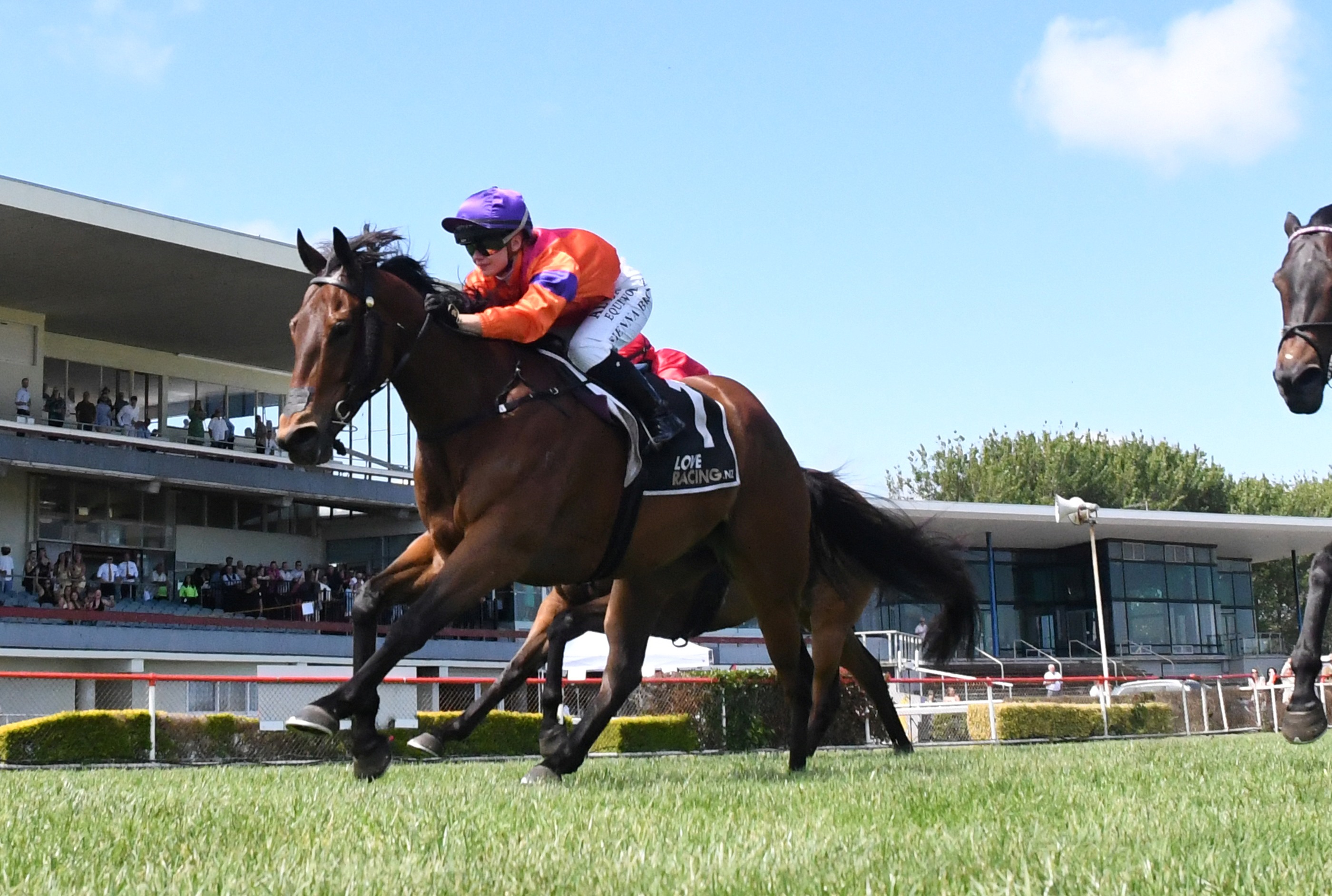 McKays realistic as they return to happy hunting ground