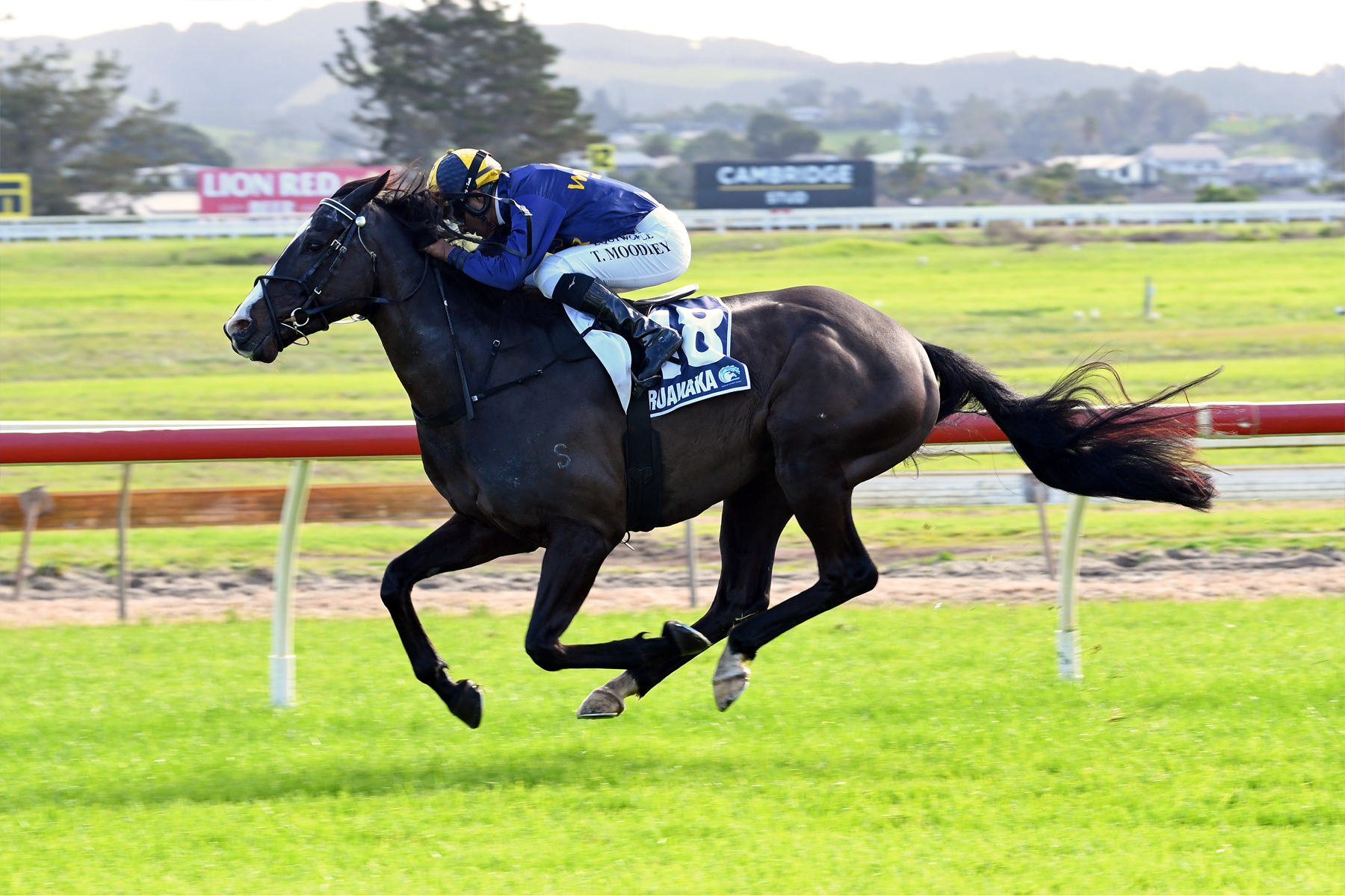 Sentimental breakthrough for Beetlegeuse at Ruakaka