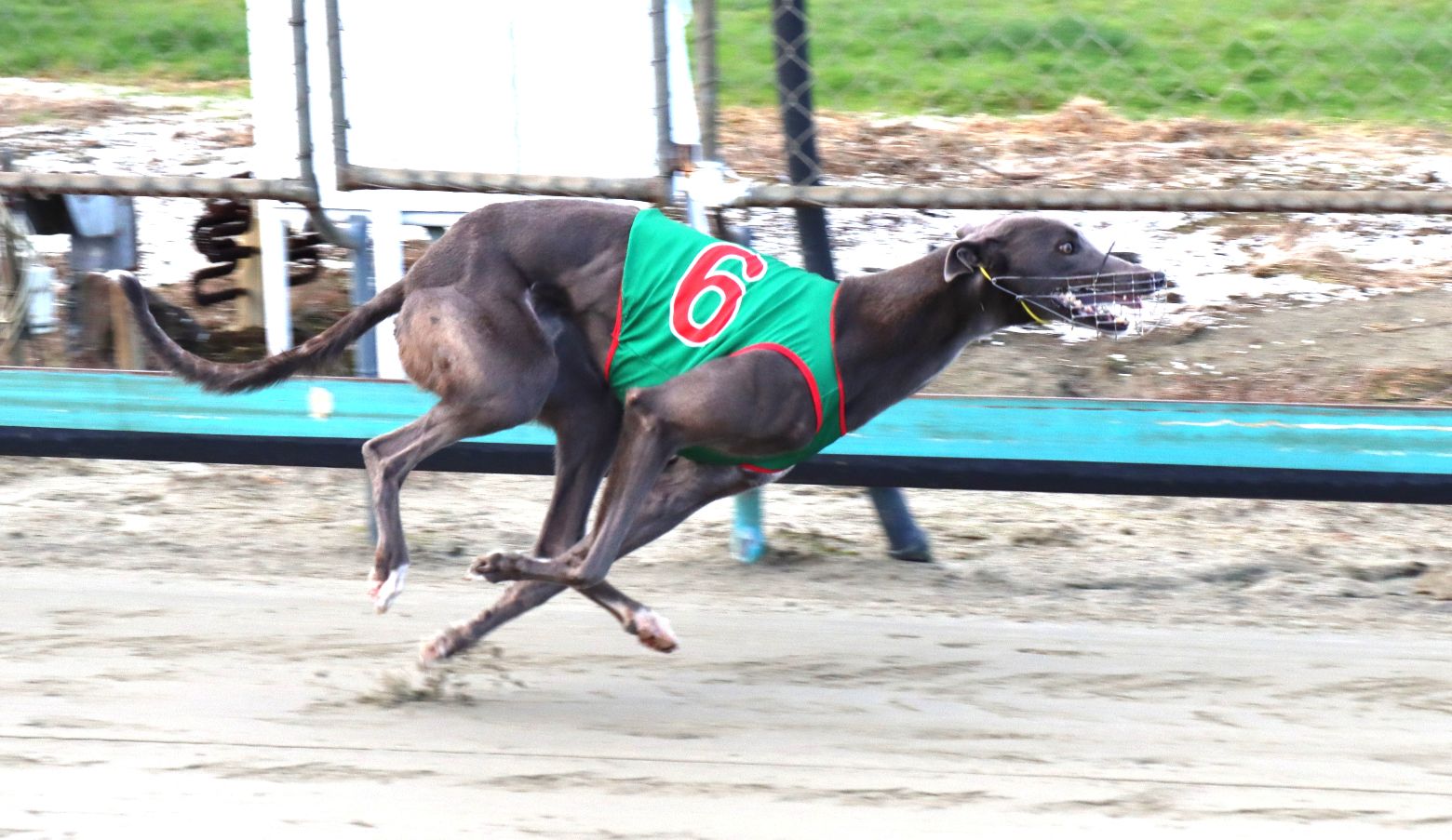 Opawa Marsh powers to Invercargill Group 2 win
