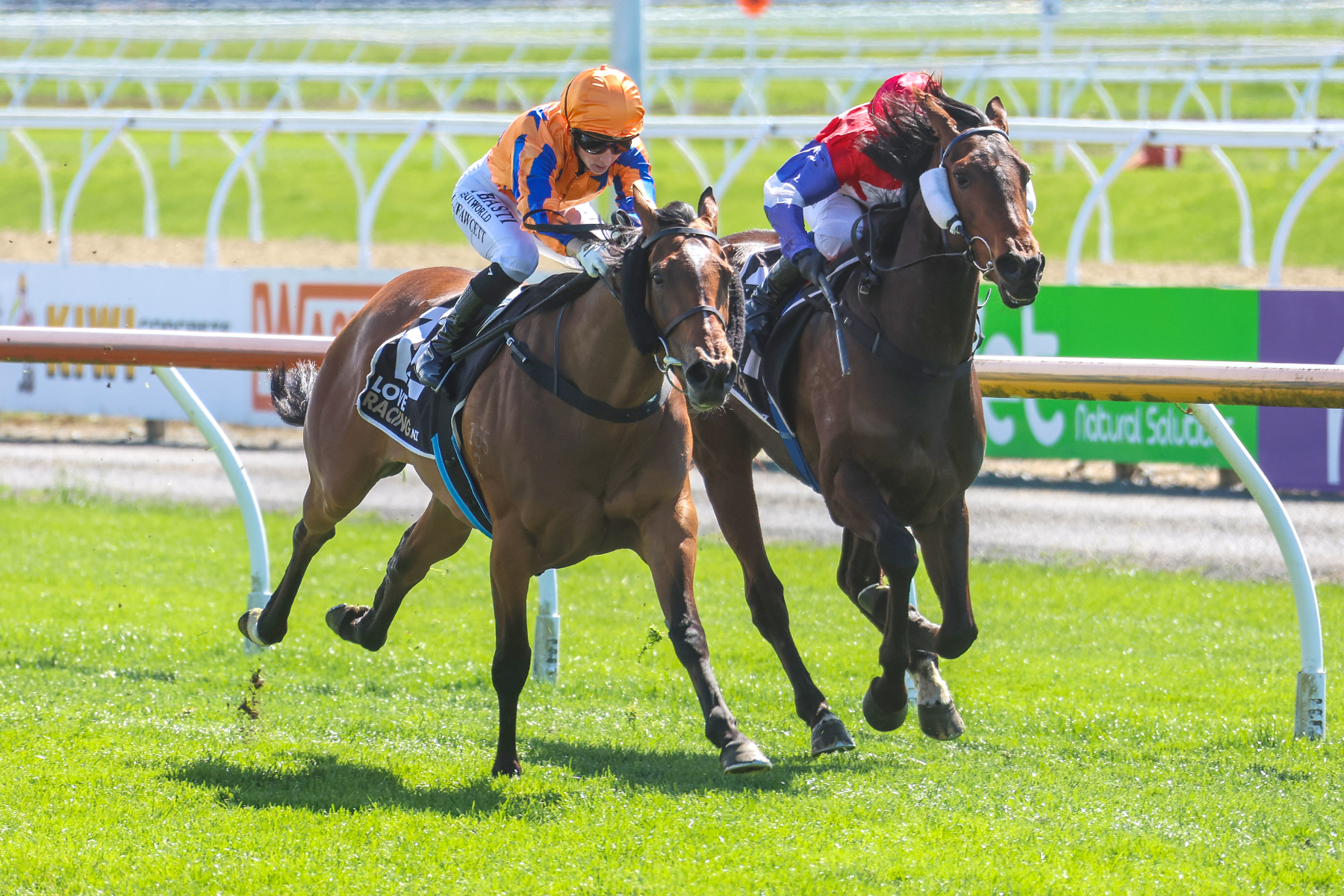 Untapped filly set to make her presence felt at Ashburton