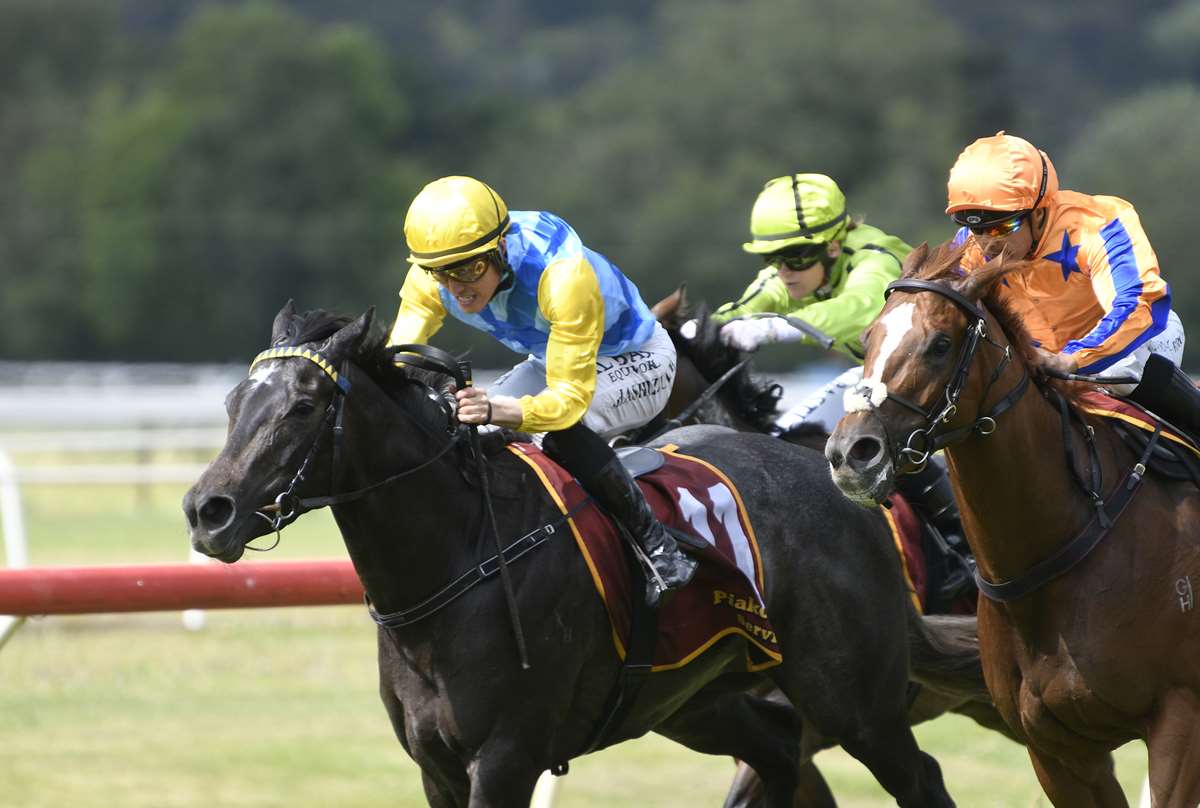 Hankee Alpha flashes into three-year-old spotlight