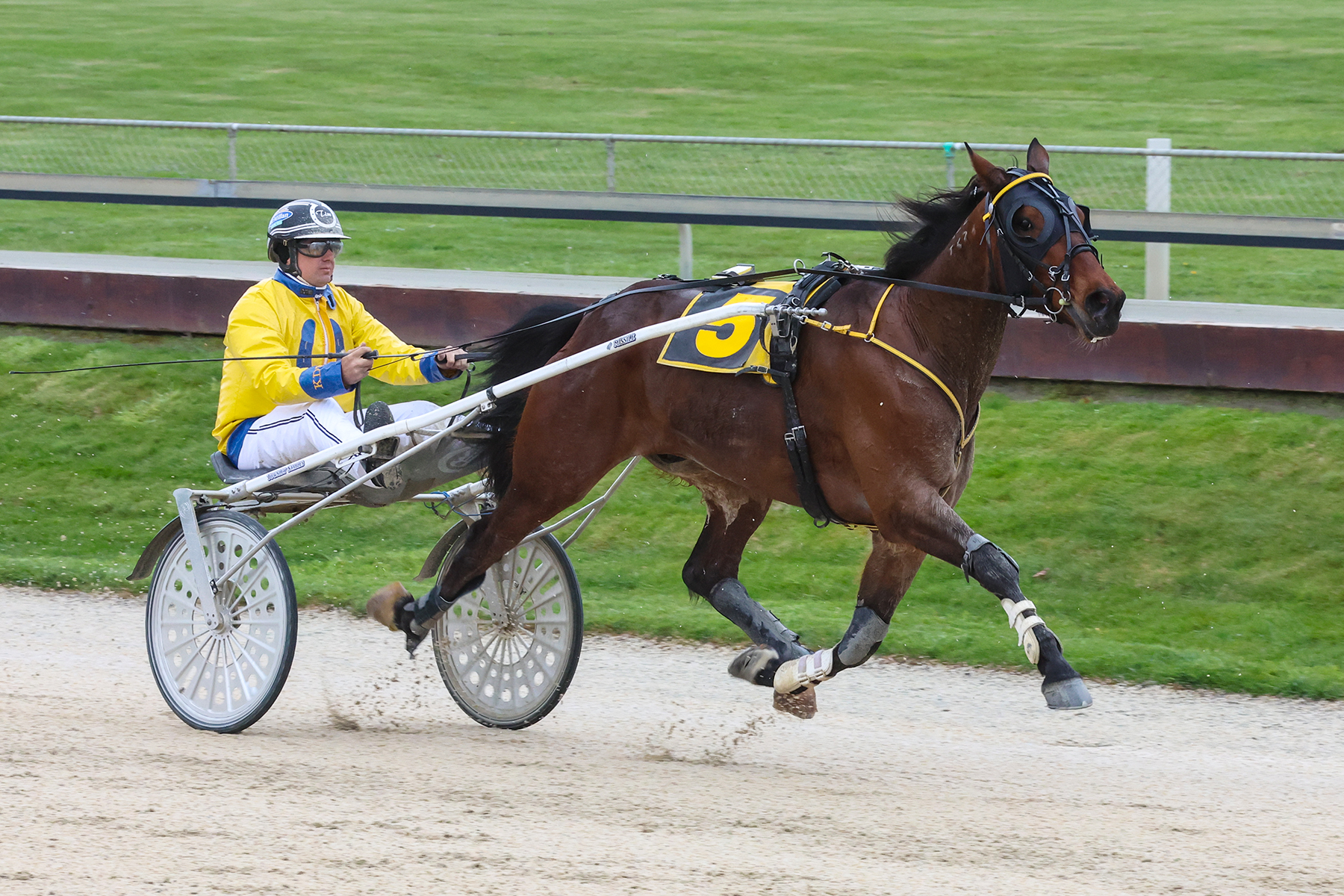 Father Time bidding to add to Townley’s Derby haul