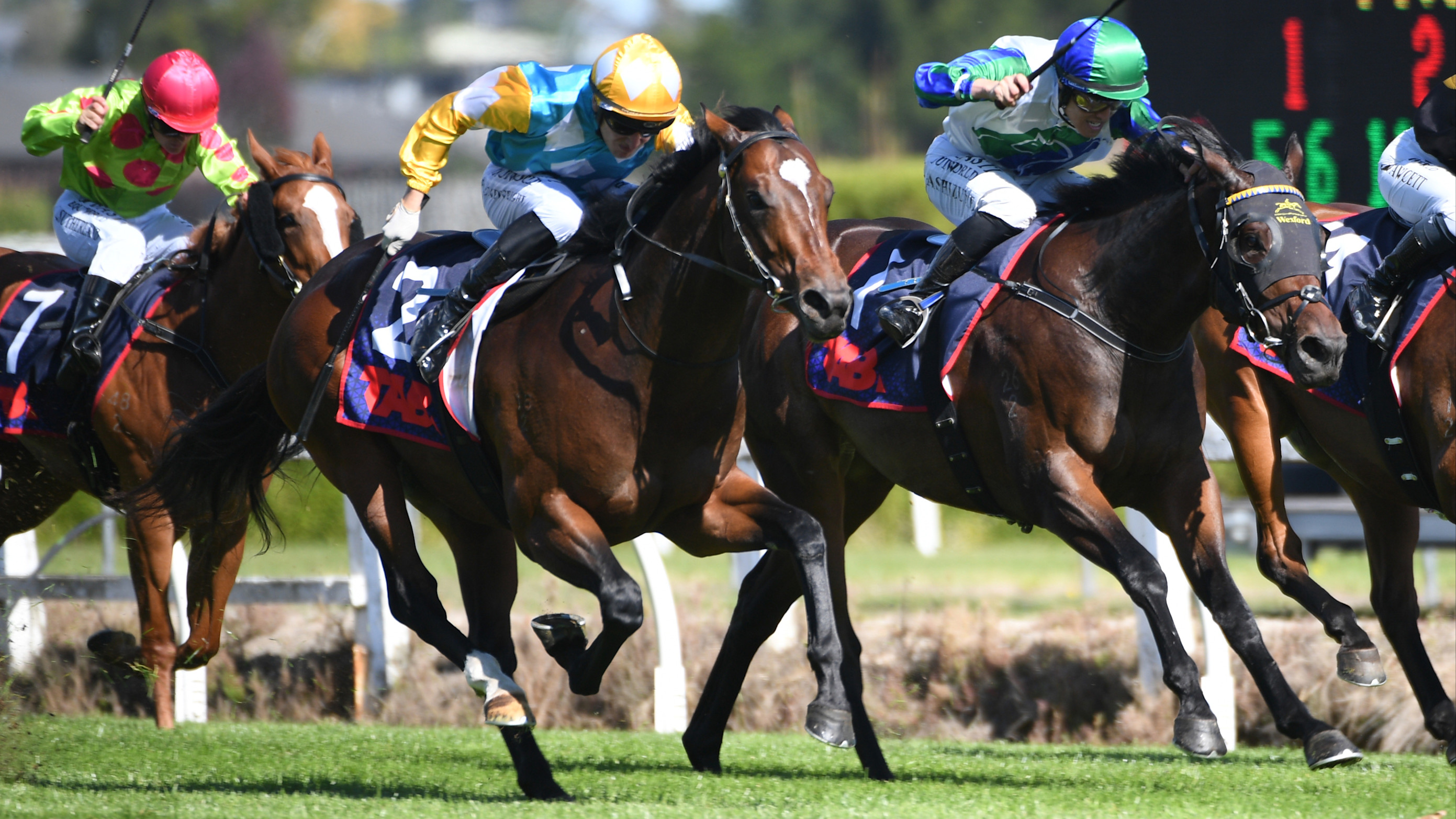 Upset hope in fine fettle for Guineas