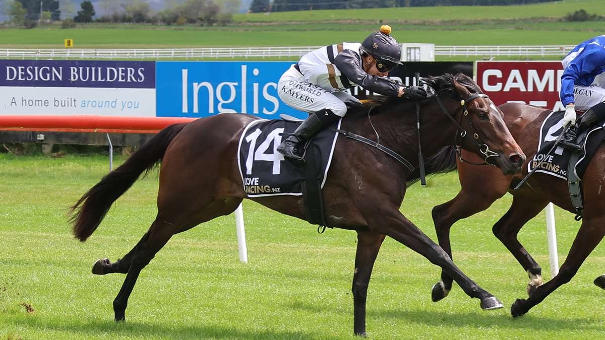 Guineas plans on notice for Forsman pair