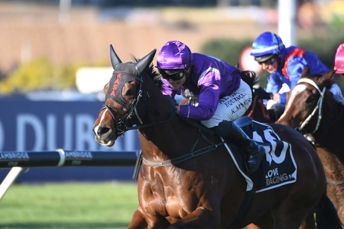 Course and distance specialist peaking for Tauranga black-type bid