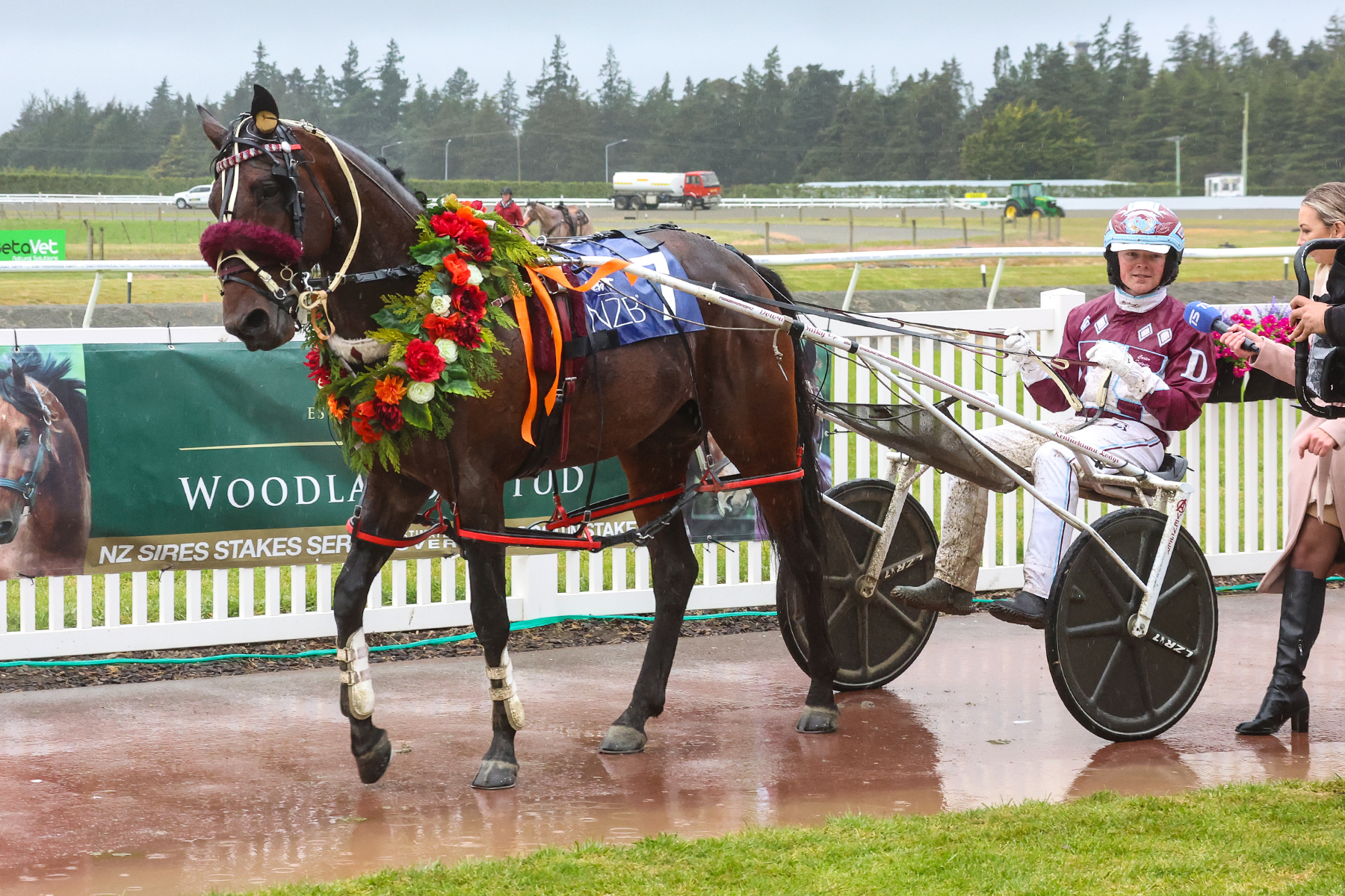 Cran Dalgety campaigning for Republican Party victory in New Zealand Cup