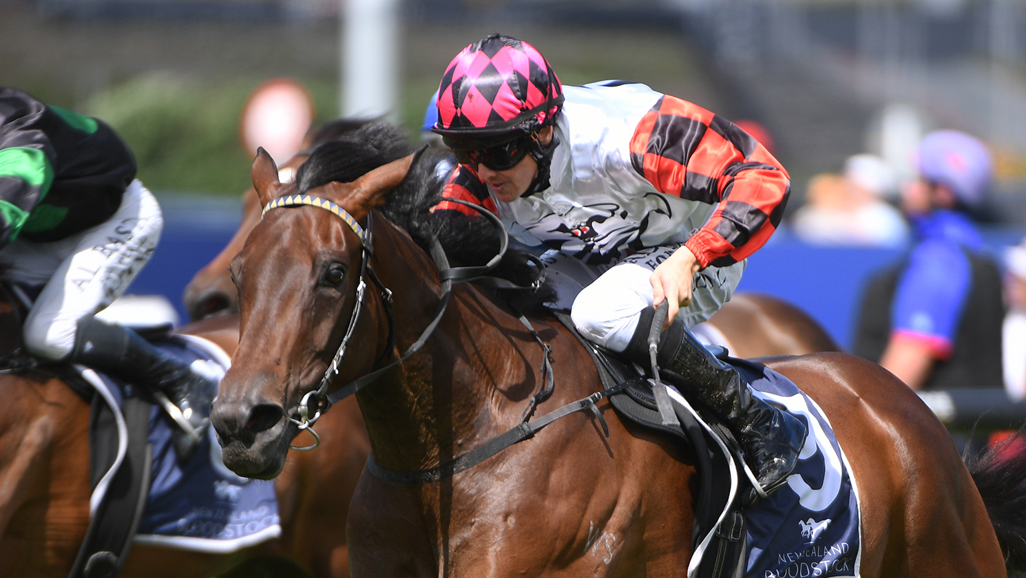 Ohope Wins bolts home in Sir Patrick Hogan Stakes