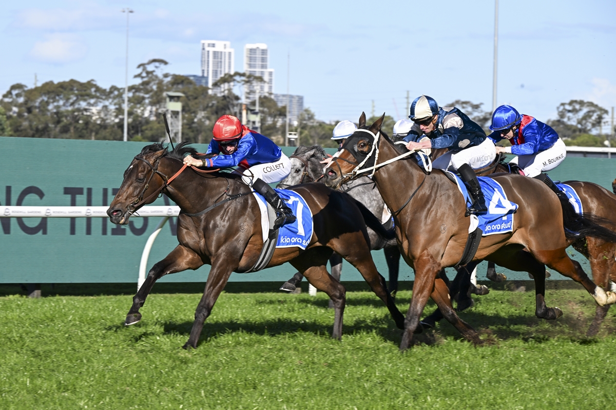 War Eternal on top of his game at Rosehill