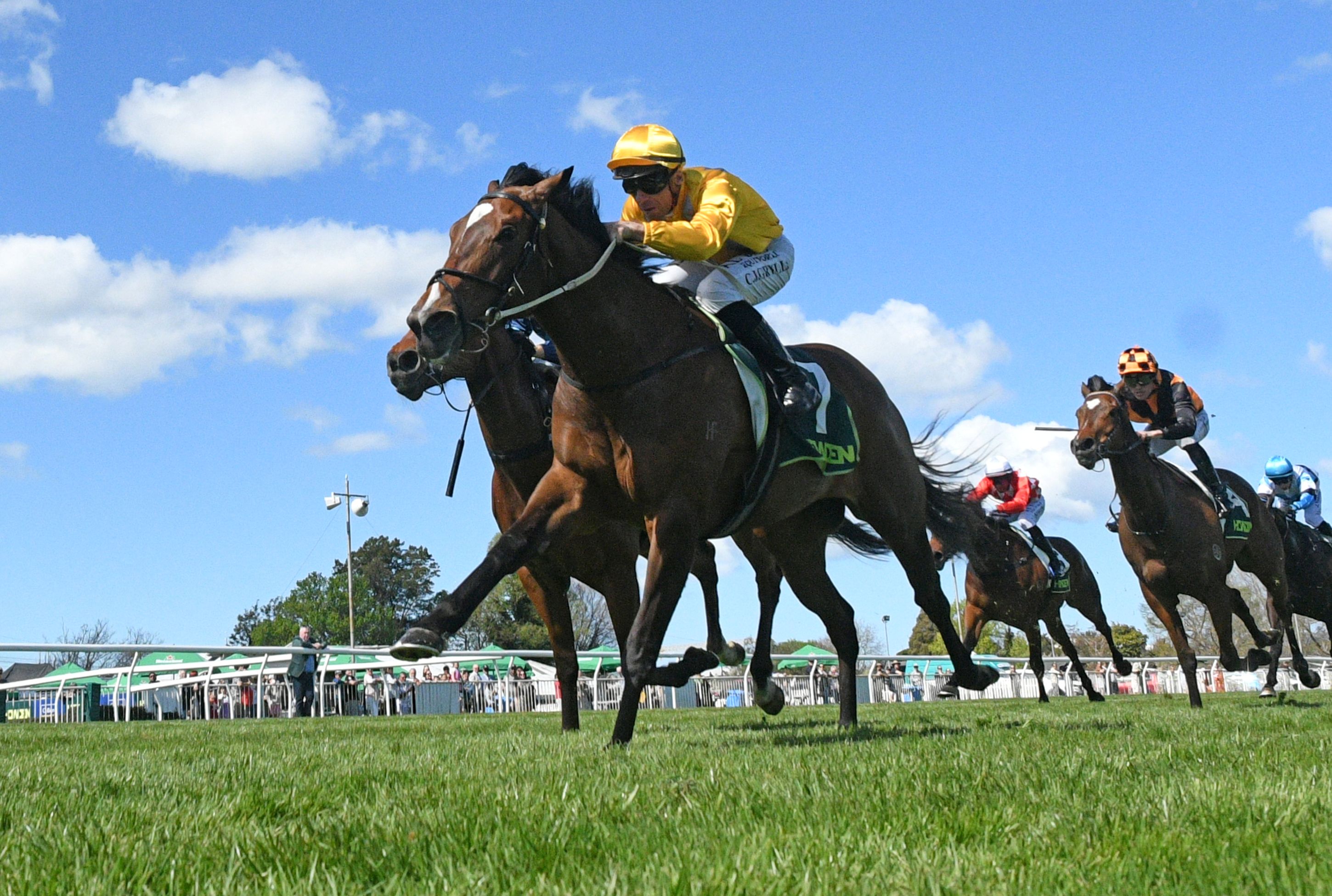 Group Time Spring War Princess and Omega Boy Set for Stablemate Clash