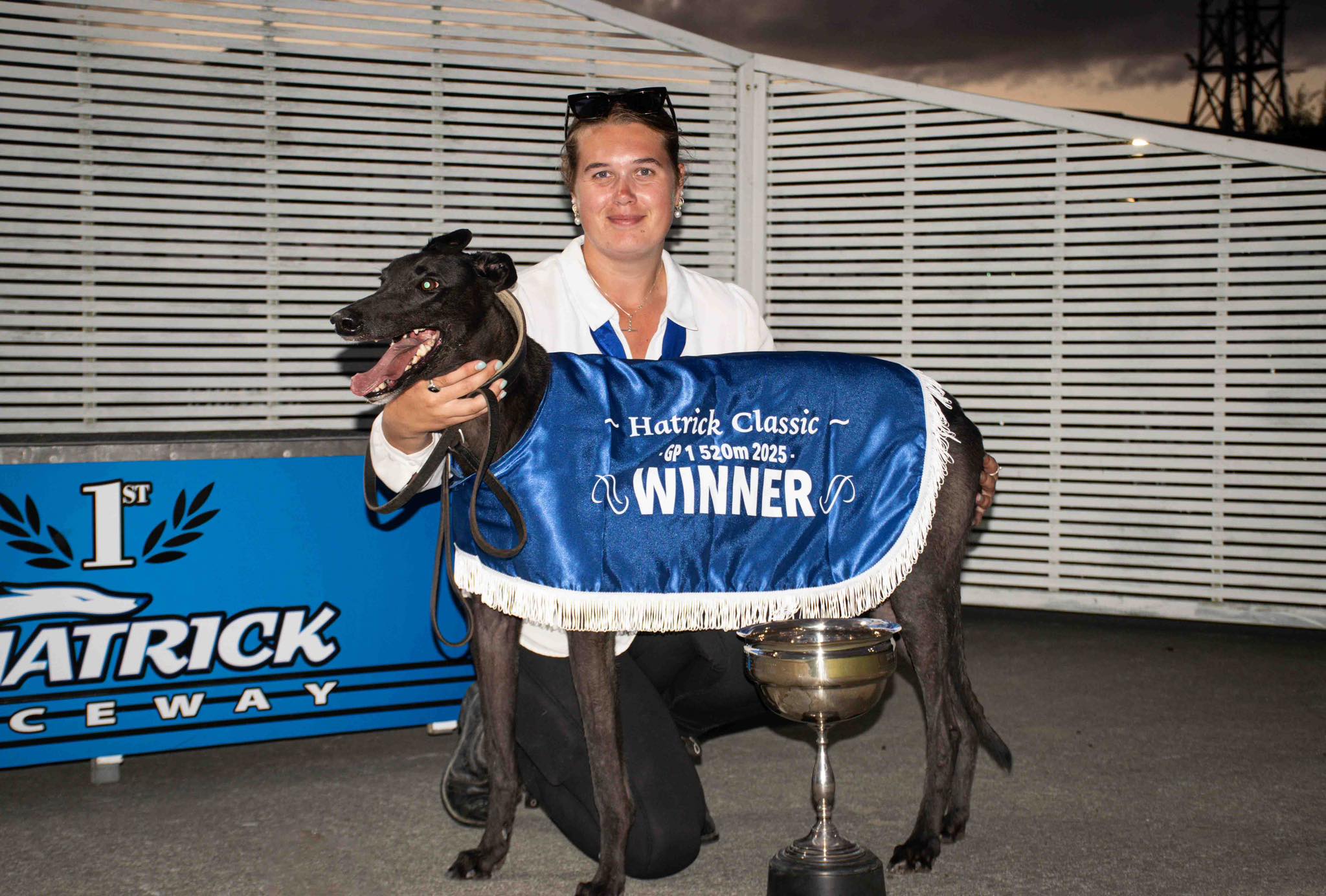 Roso's big time puppy picks at Palmerston North
