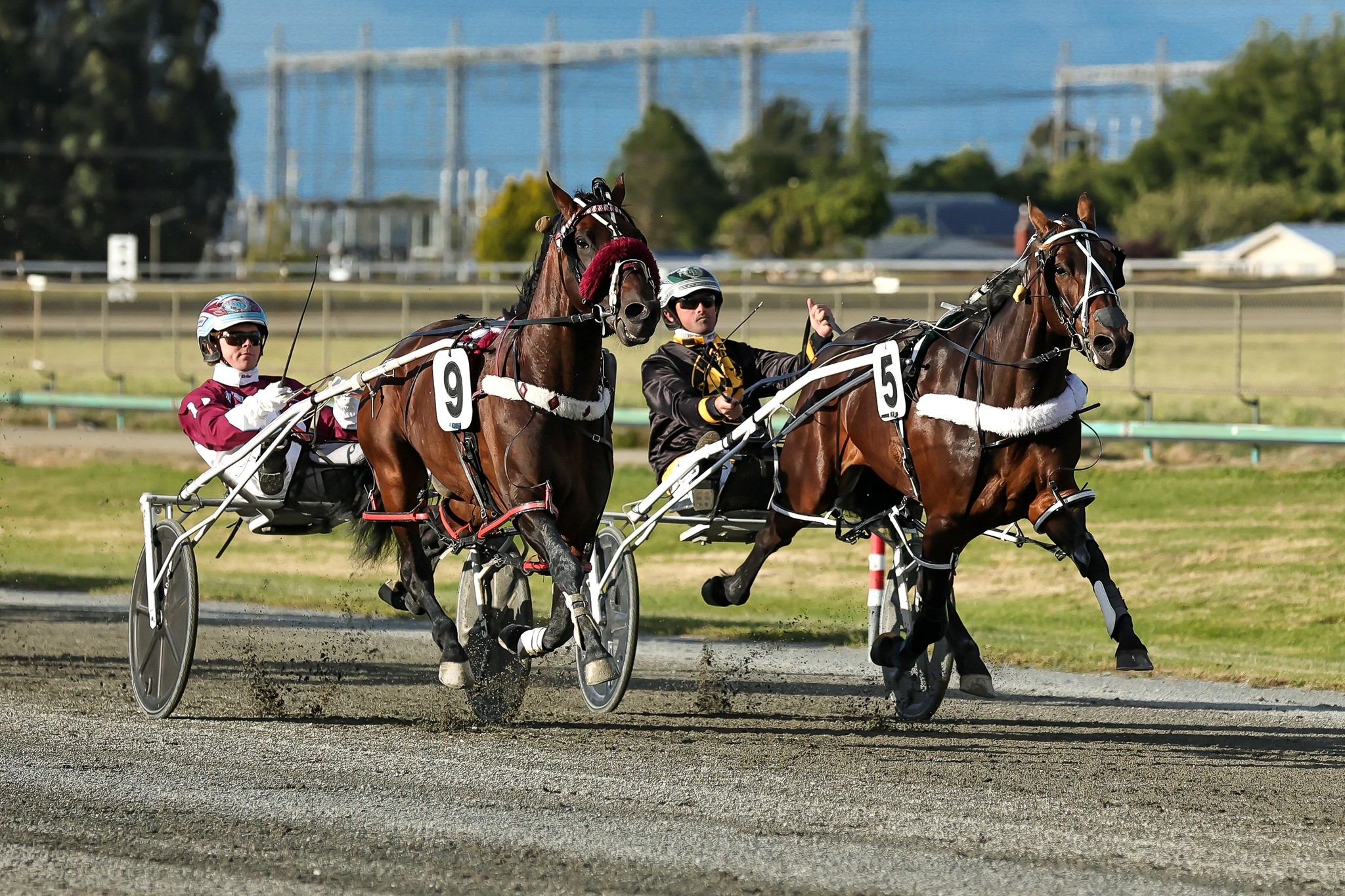 Republican Party wins the Invercargill Cup