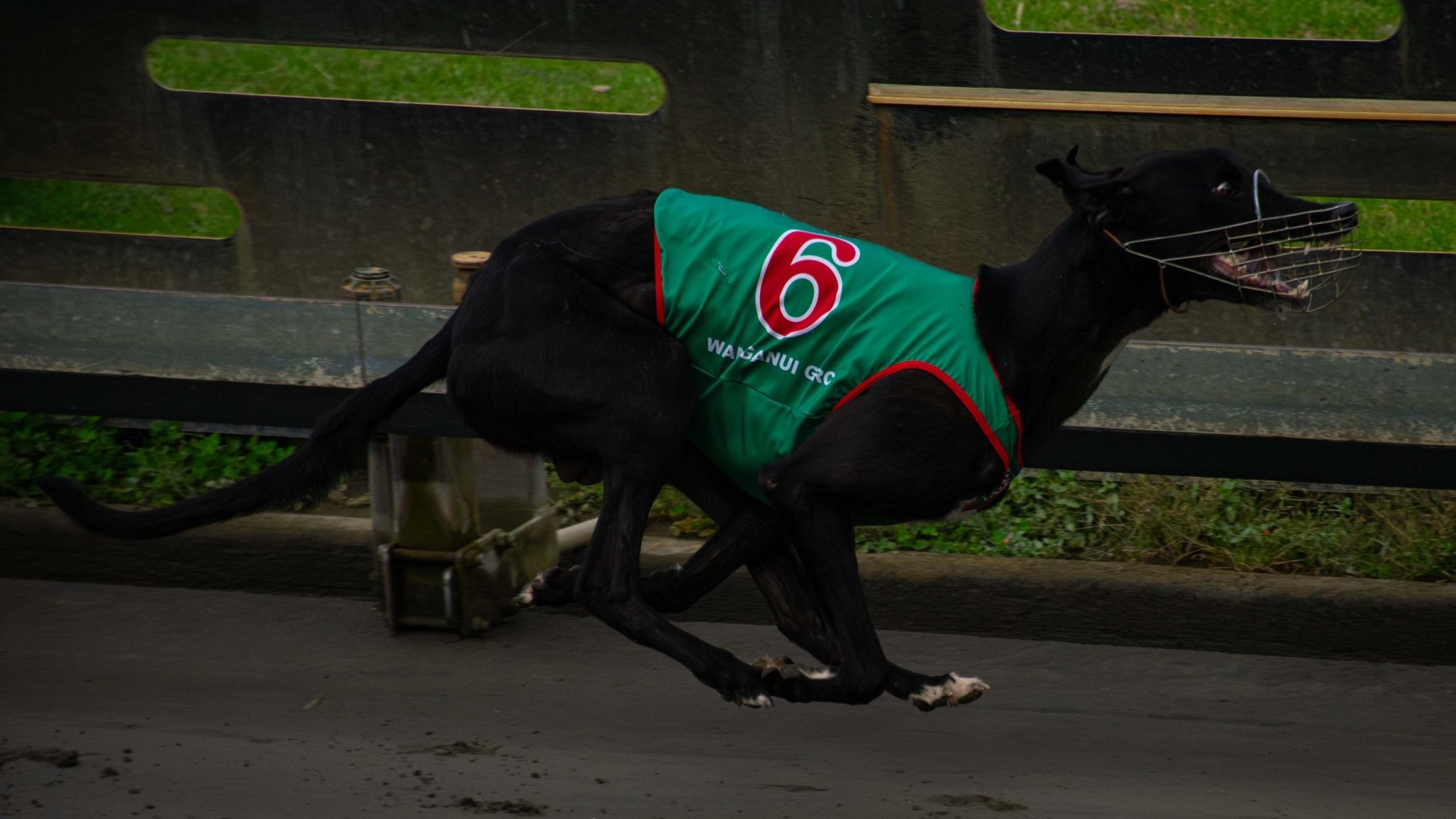 Roso Unleashes his best in the River City