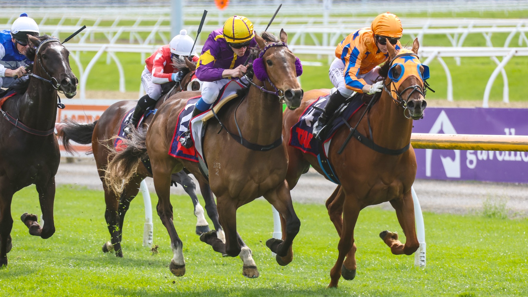 Talented three-year-old ready to go in the Gore Guineas