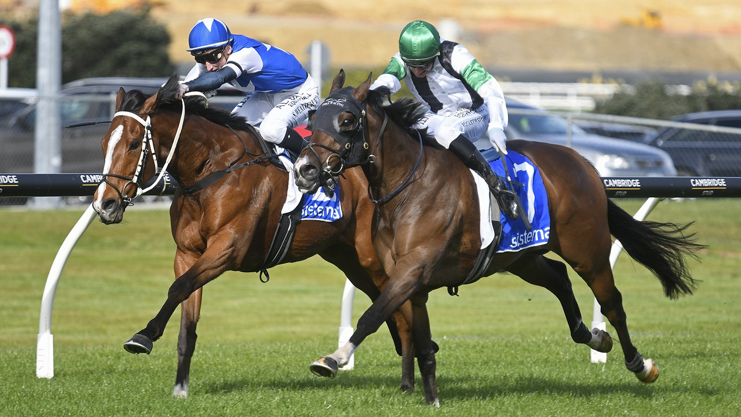 Overdrawn back in the black at Ellerslie