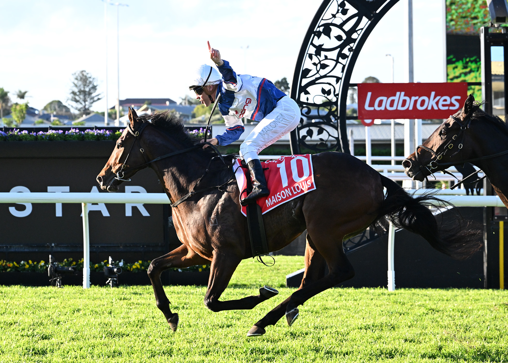 Kiwi studs and syndicators to the fore on big day in Brisbane
