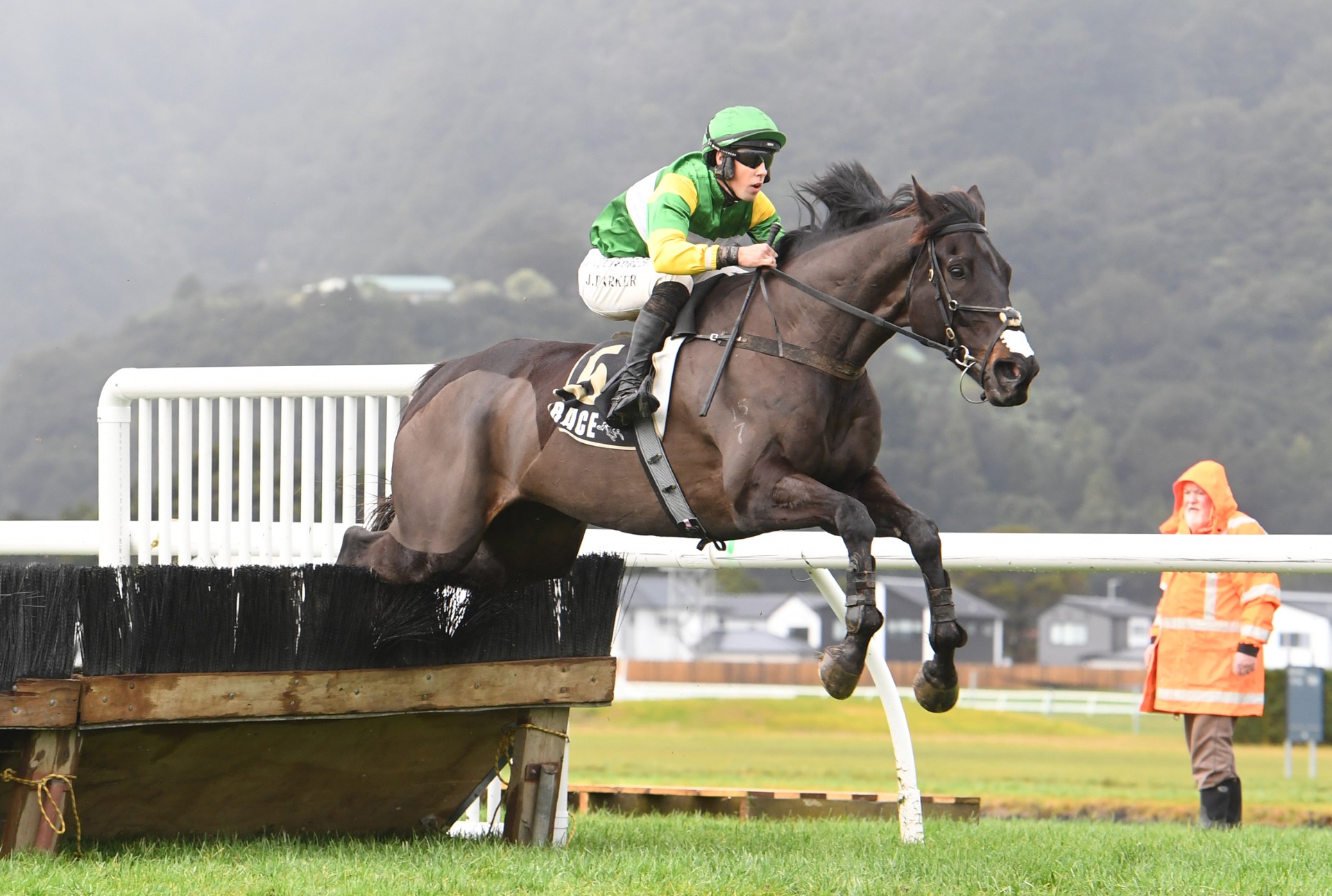 Billy Boy becomes a man in Wellington Hurdle