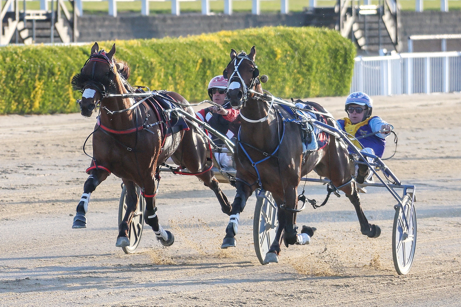 Battle of the titans extends to Derby