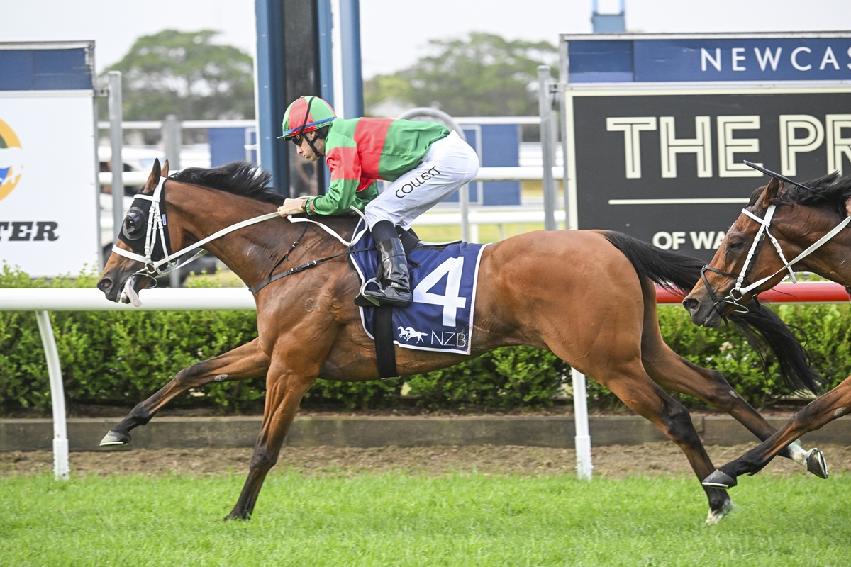 Asterix back on top in The Beauford