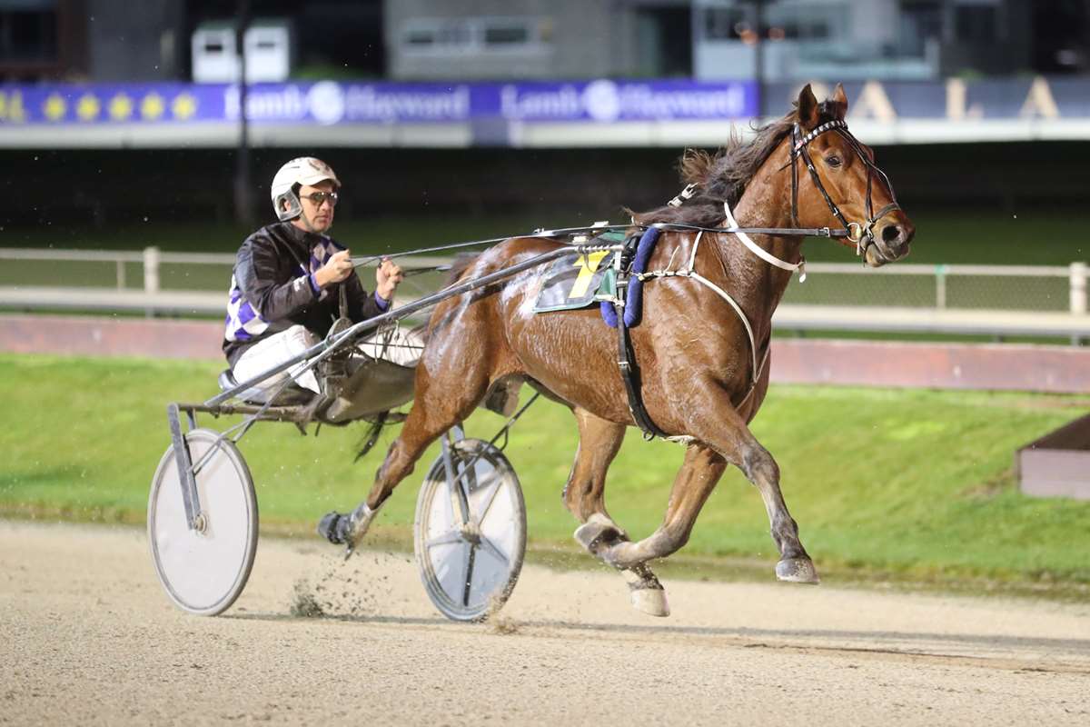 Speedy southerners surging towards Sunday's finals