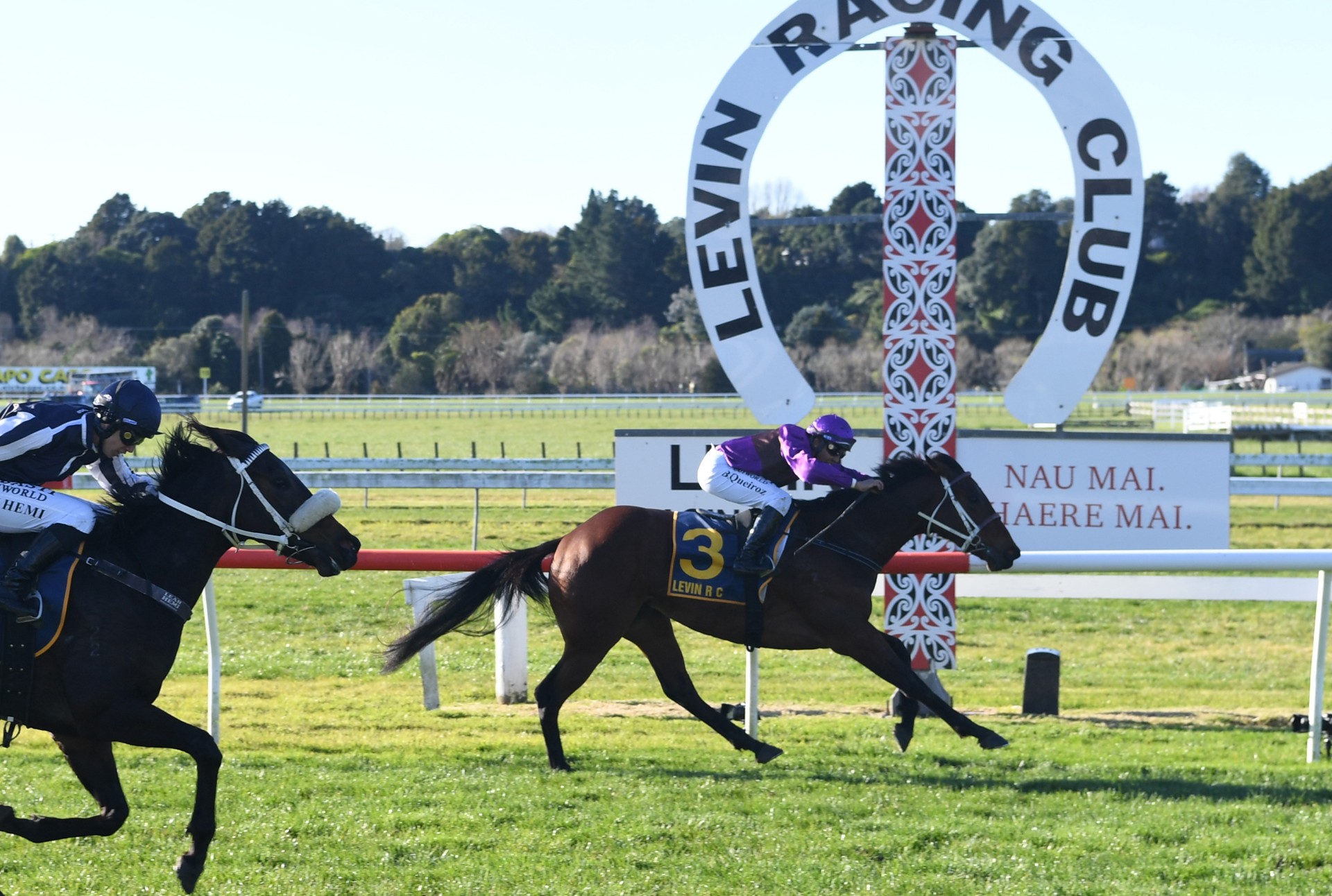 Latta favourite captures final stakes race for the season