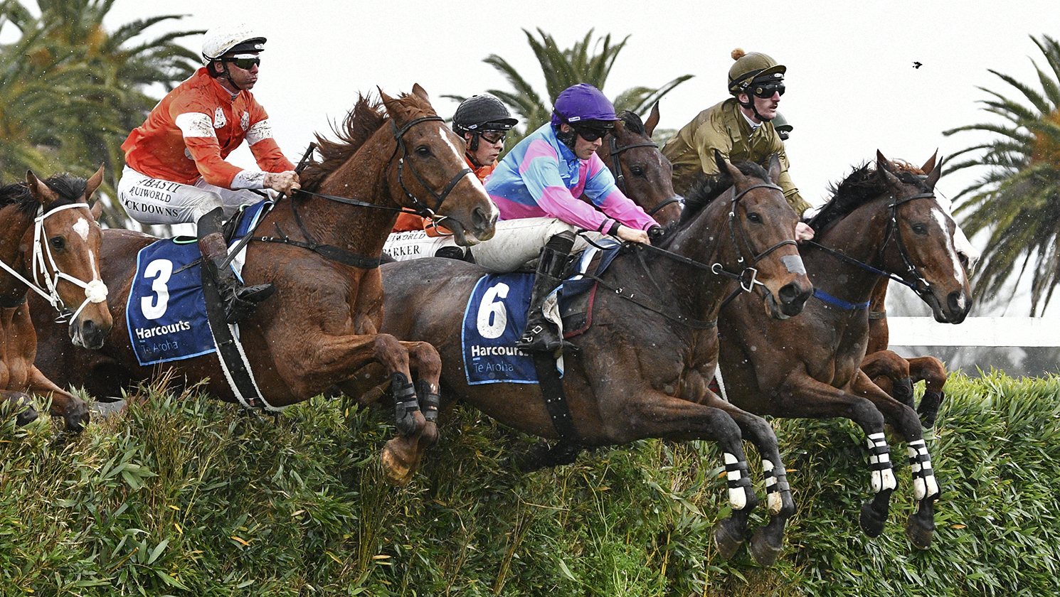 Pakuranga Hunt Cup completes Nedwin’s switch