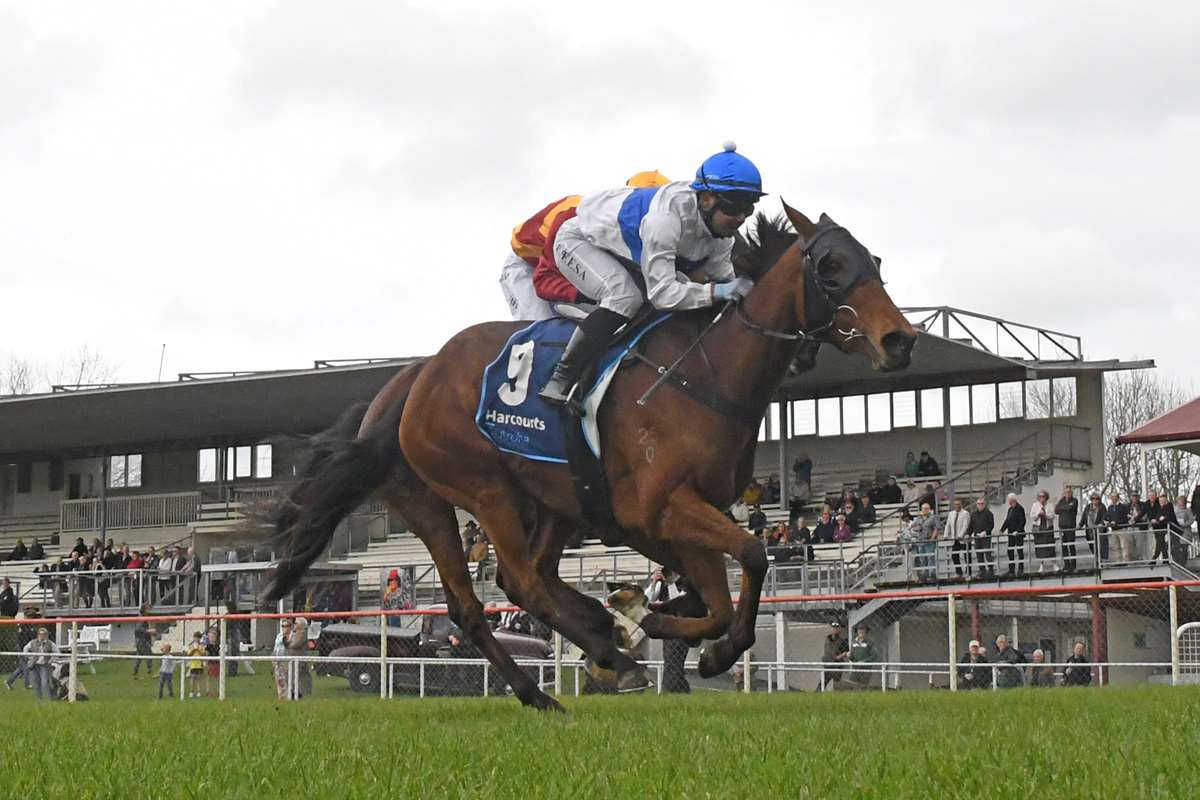 Kiwis seeking to recapture Jericho Cup