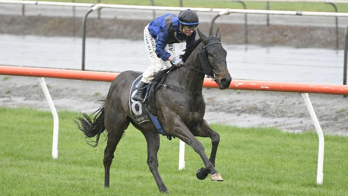 Manners the key for Taylor Square in Bonecrusher