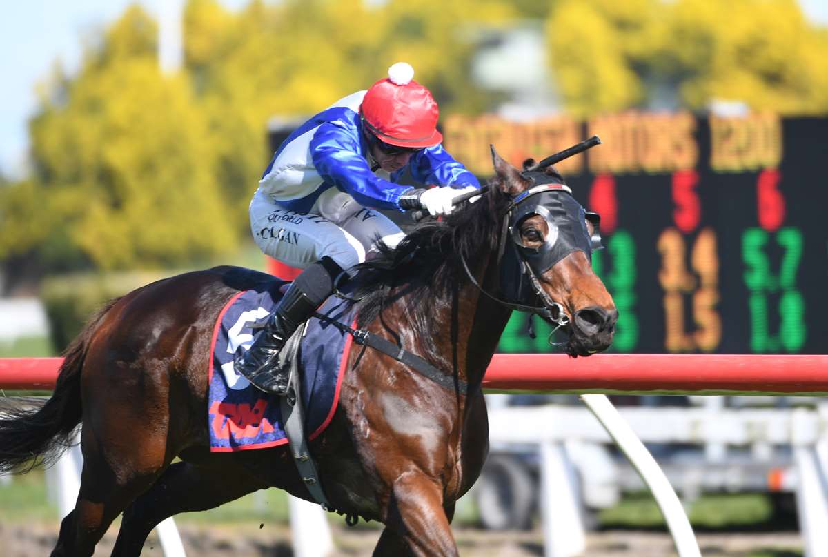Family horse strikes another winning note