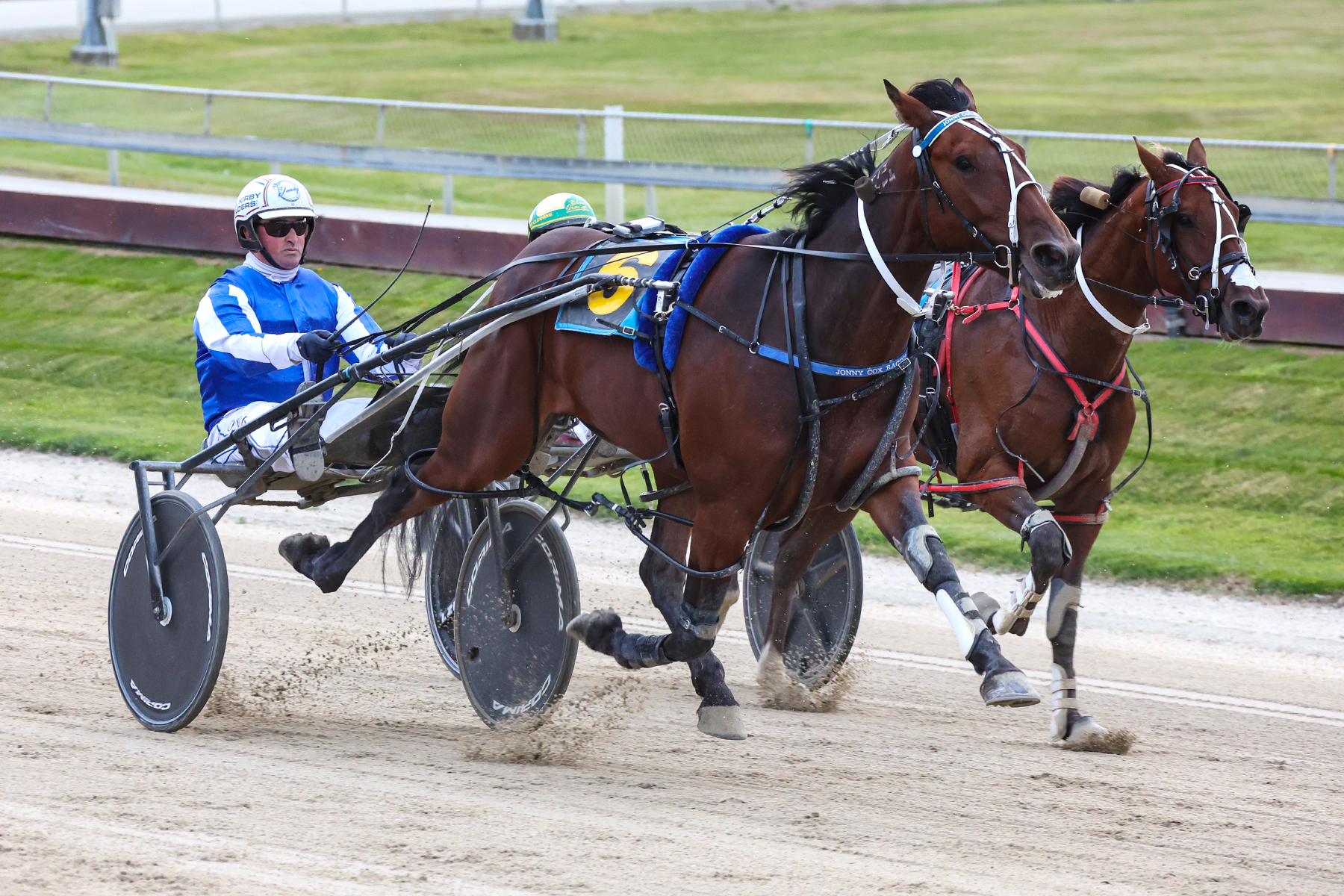 Pressure piles on as Inter Dominion series ramps right up