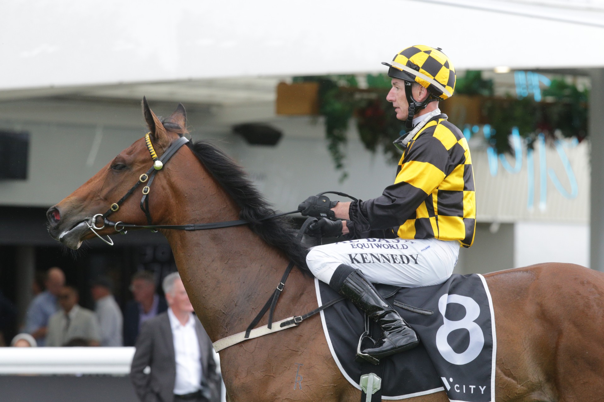 Cambridge Stud racetrack success rolls into sales season