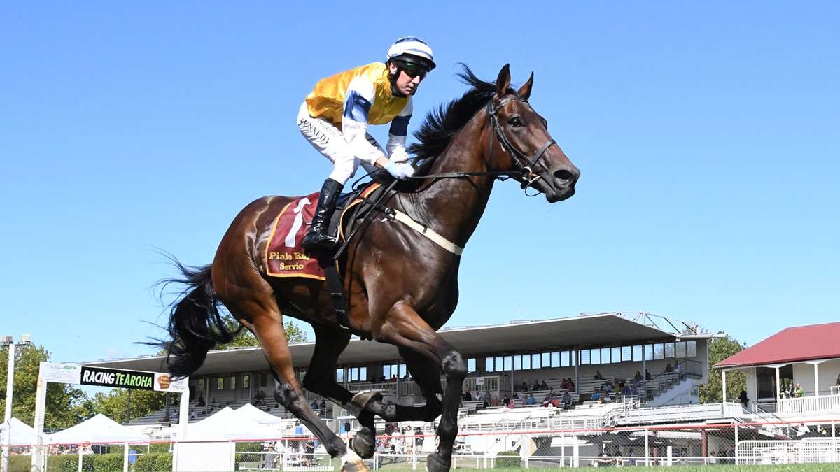 Greene excited for emerging stable star’s return