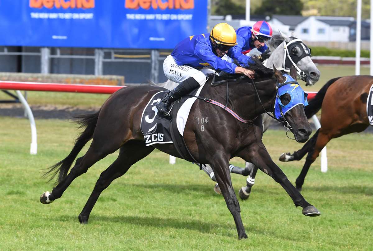 Trainers keen on return visit to Melbourne