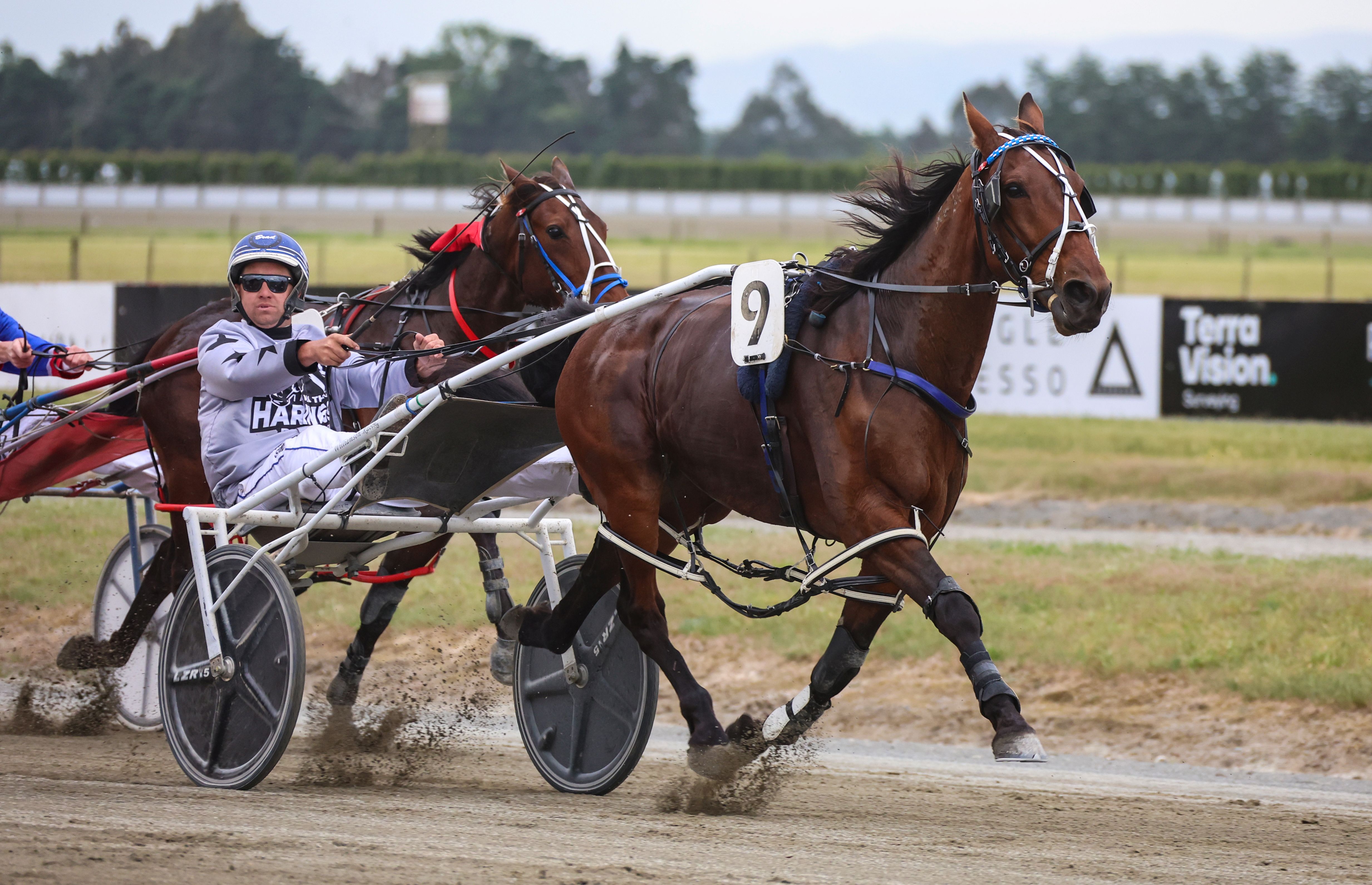 Brad Williamson looking to bookend Southern Surge Finals