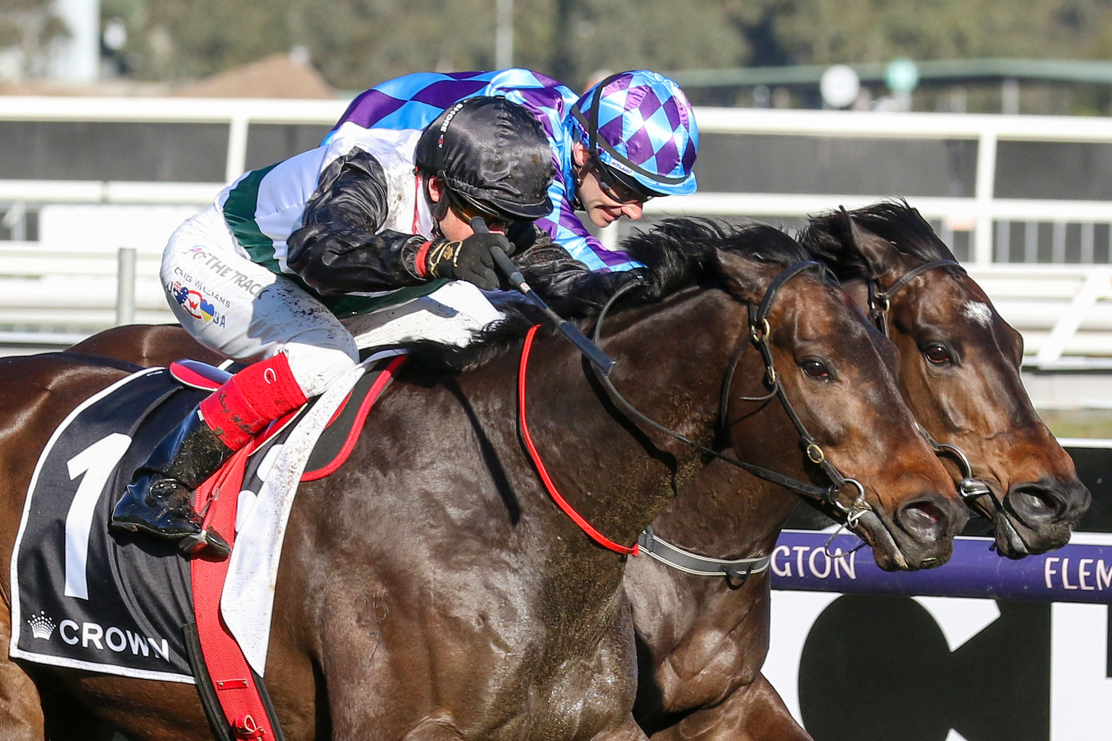 The 101 Guide to Saturday's Cox Plate