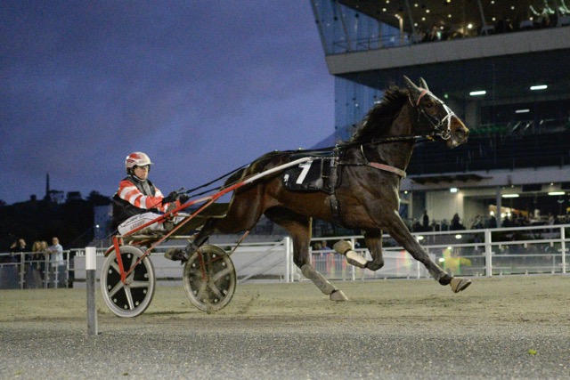 Leading trotting stable praying for good manners in Group One trot