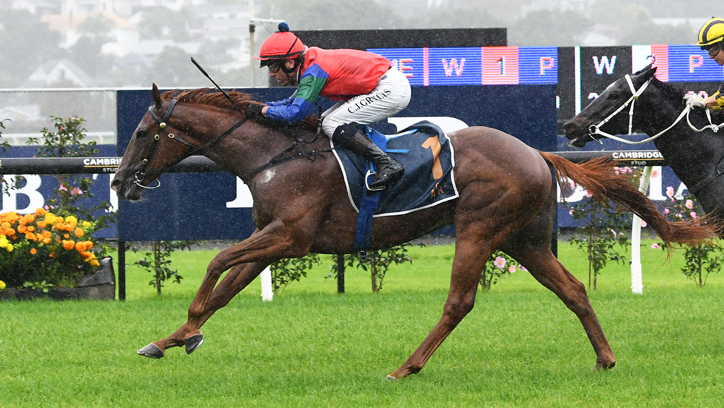 Daunting Trentham task for NZB Kiwi contender