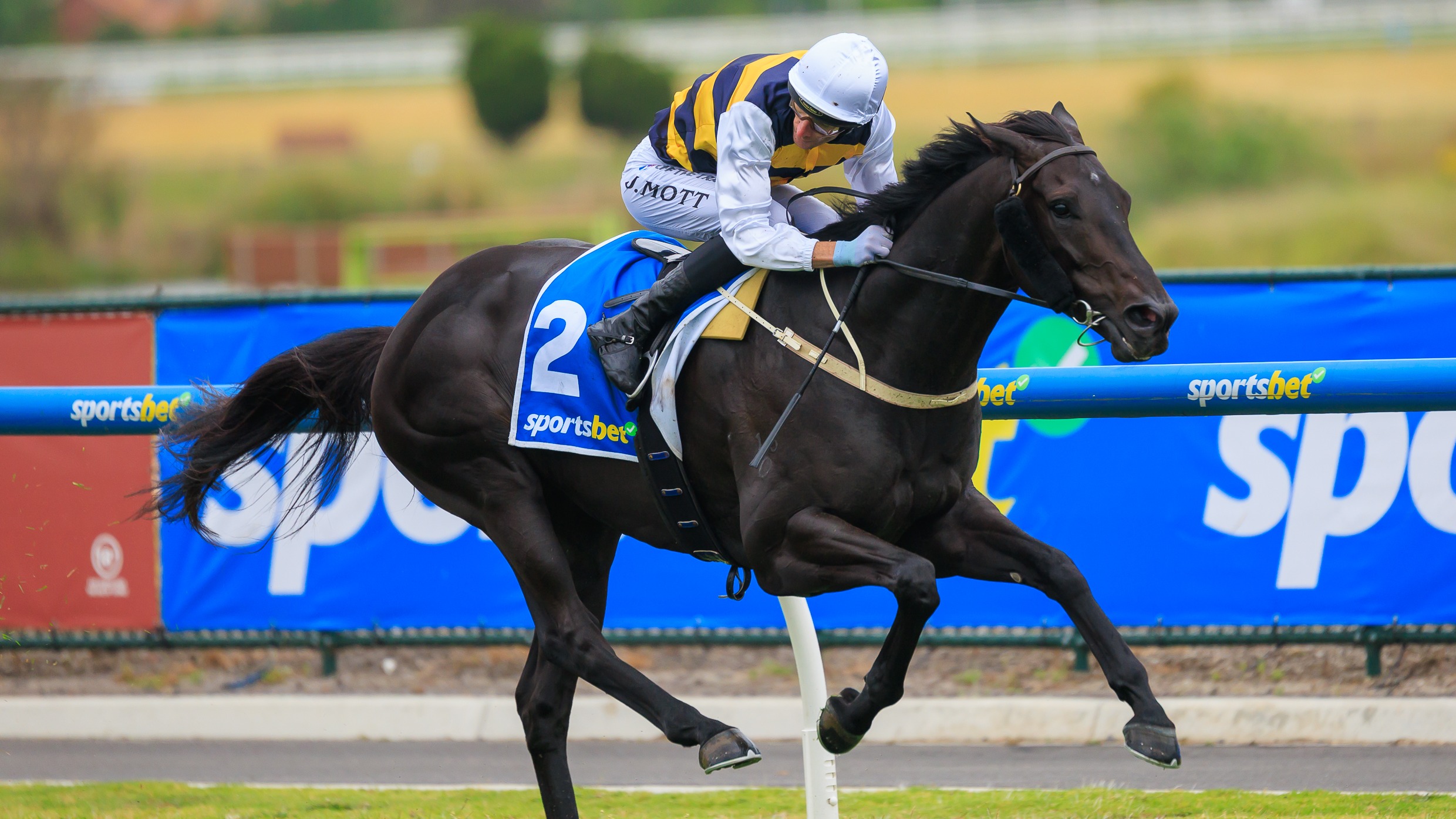 Wymark back in winning form