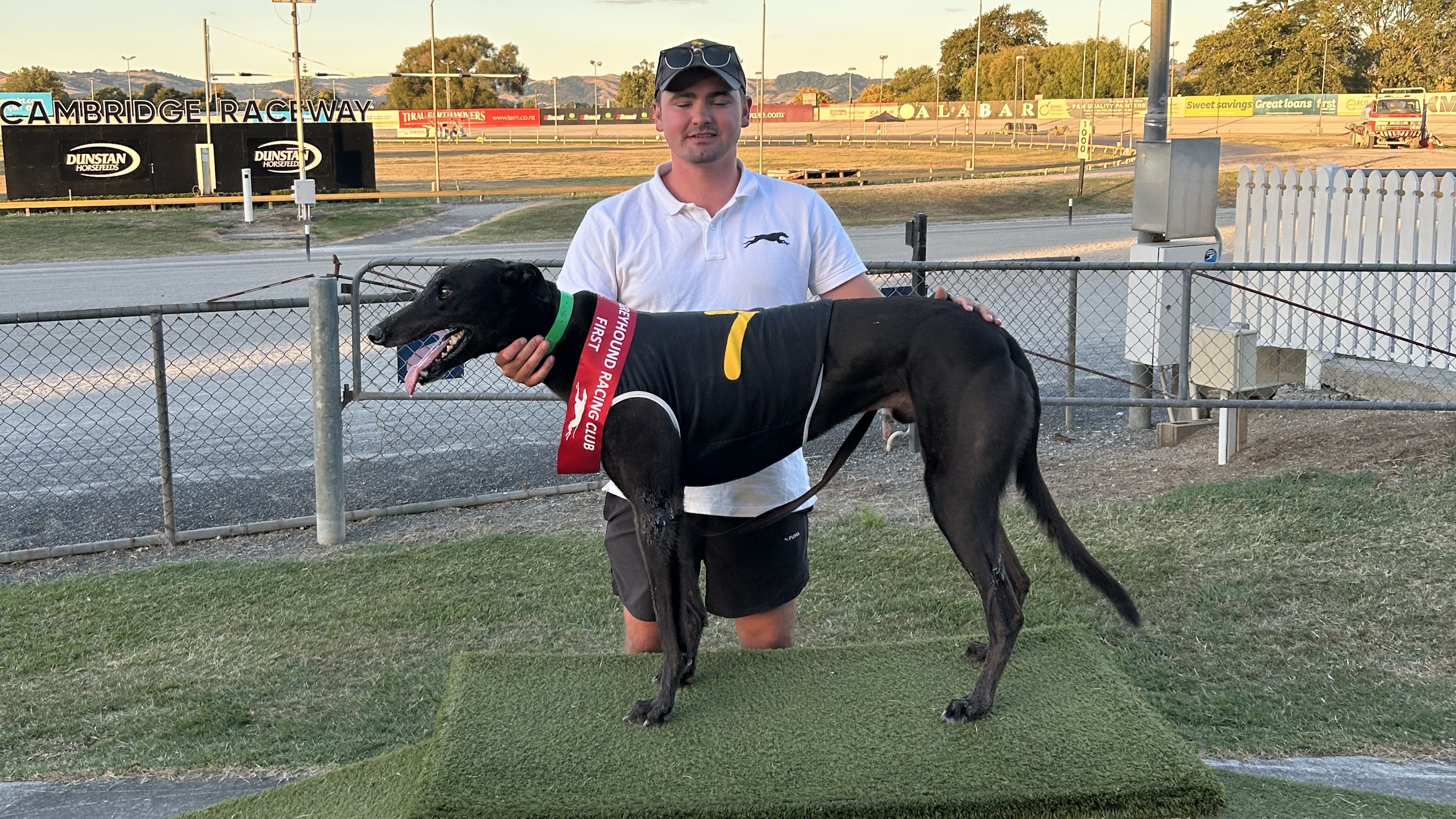 Massive evening of Greyhound Group racing at Cambridge