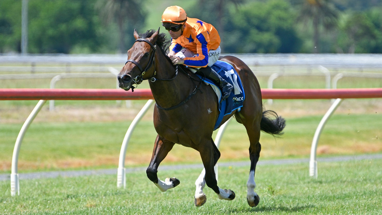 Sibling Rivalry scores maiden win at Te Aroha