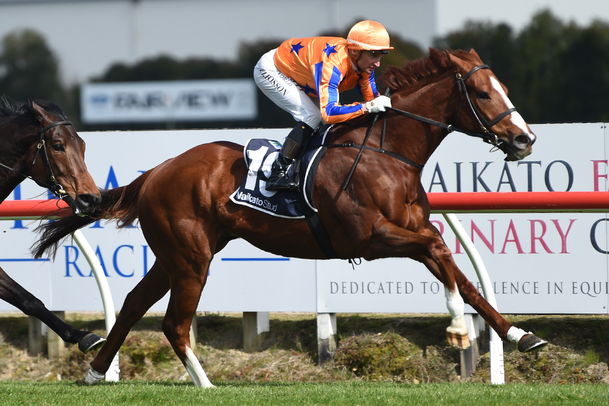 Group One performer nearing return