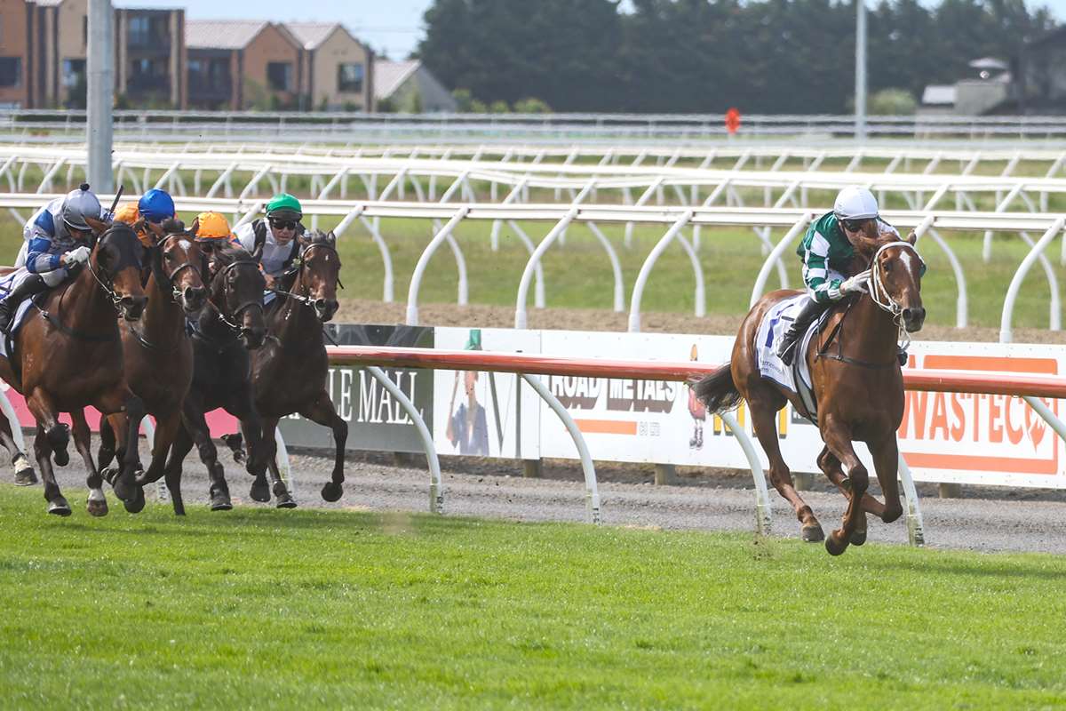 Well Written gets ideal gate as favourites fare well in Karaka Millions barrier draws