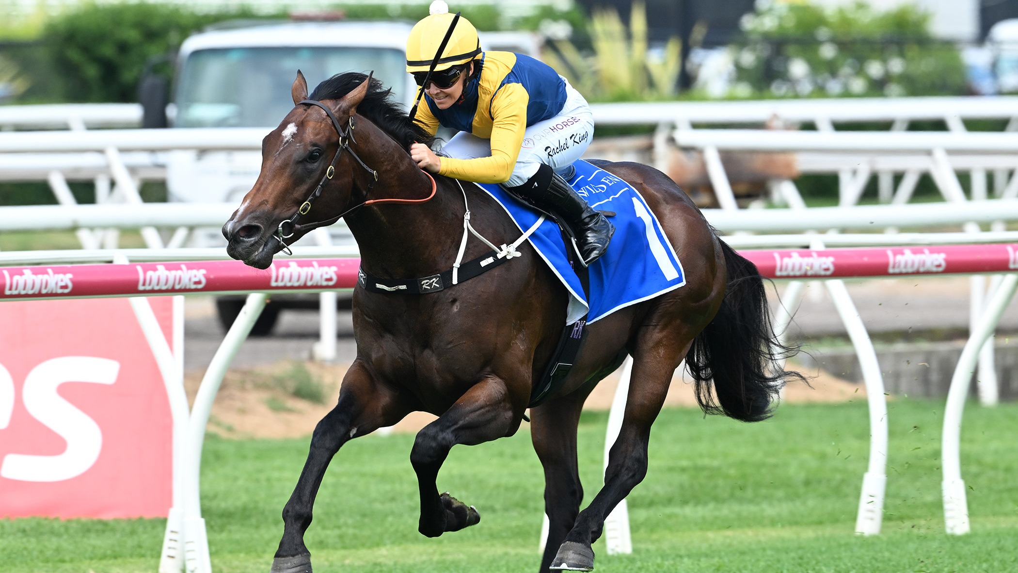 Unbeaten favourite to carry the flag for Sword Of State in Magic Millions