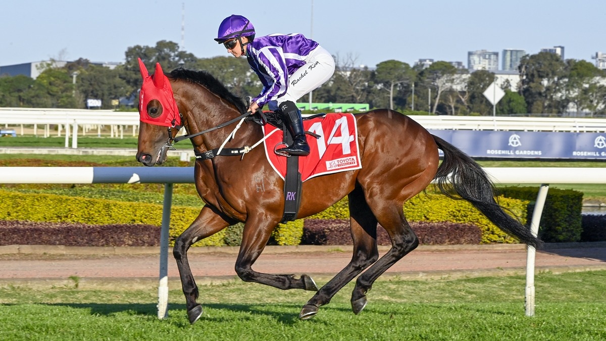 Coolmore entire to make NZ debut